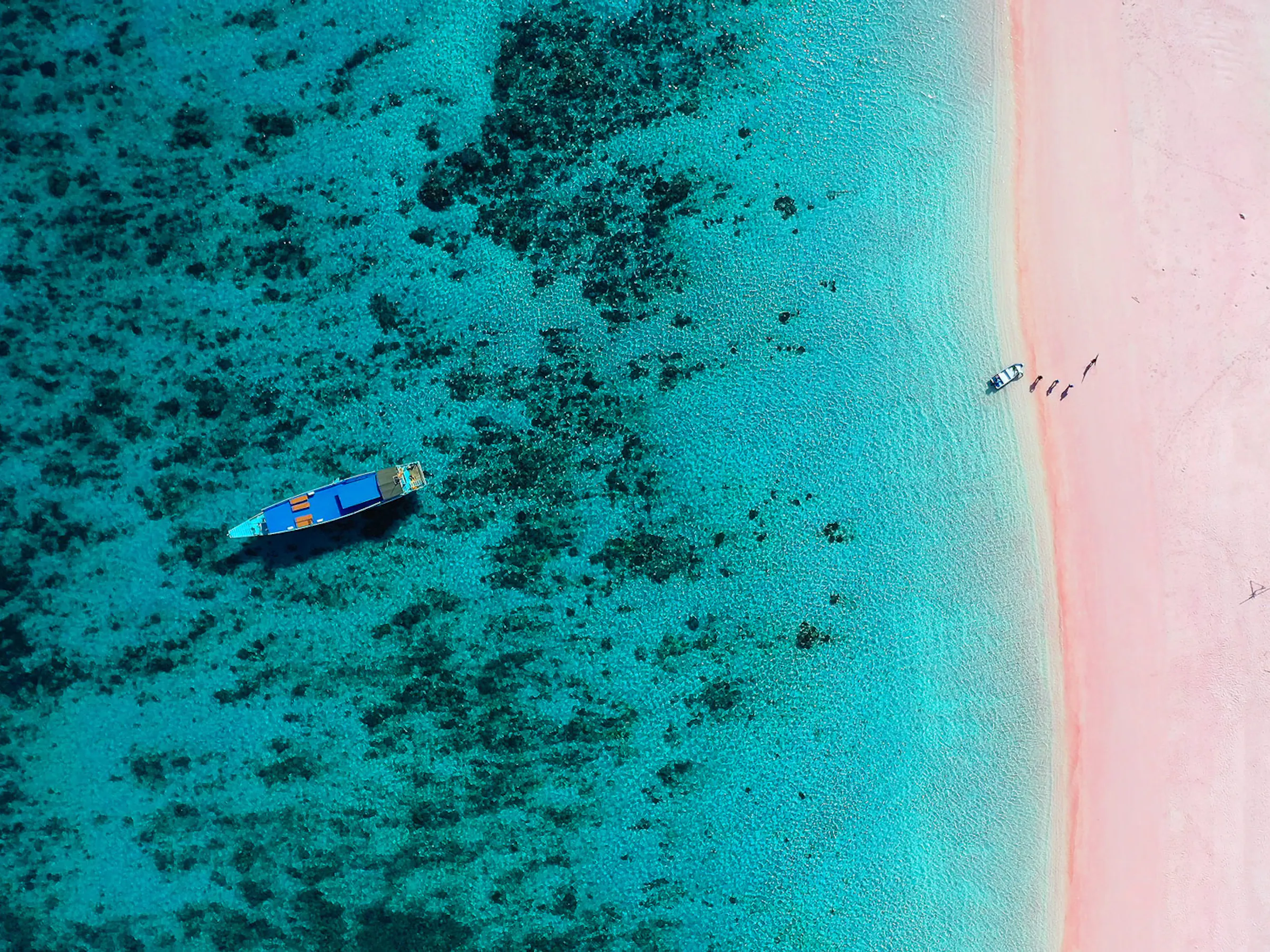 An aerial shot of a pink sand beach on Komodo Island.
