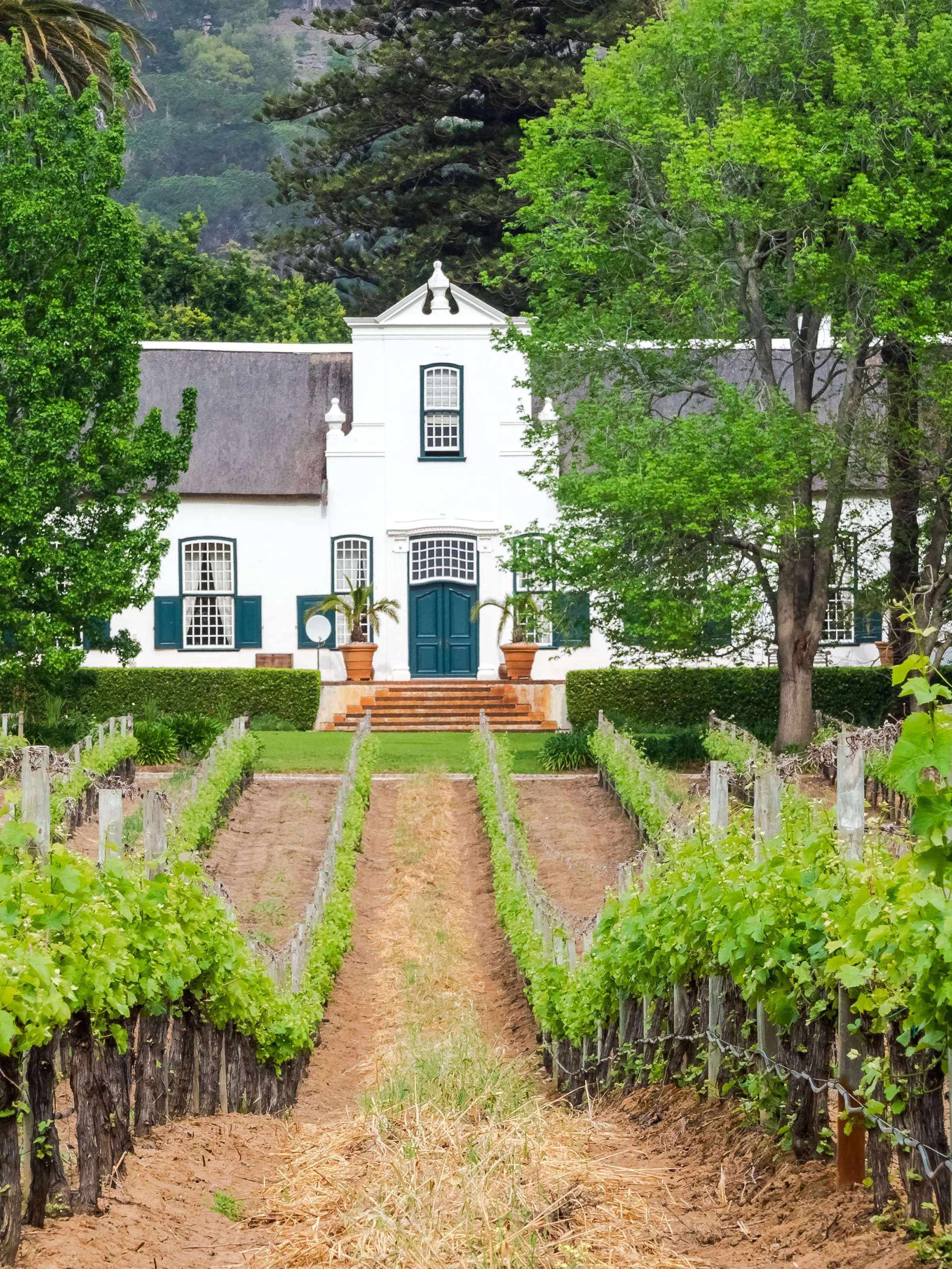 house in vinyards in Cape Winelands in South Africa