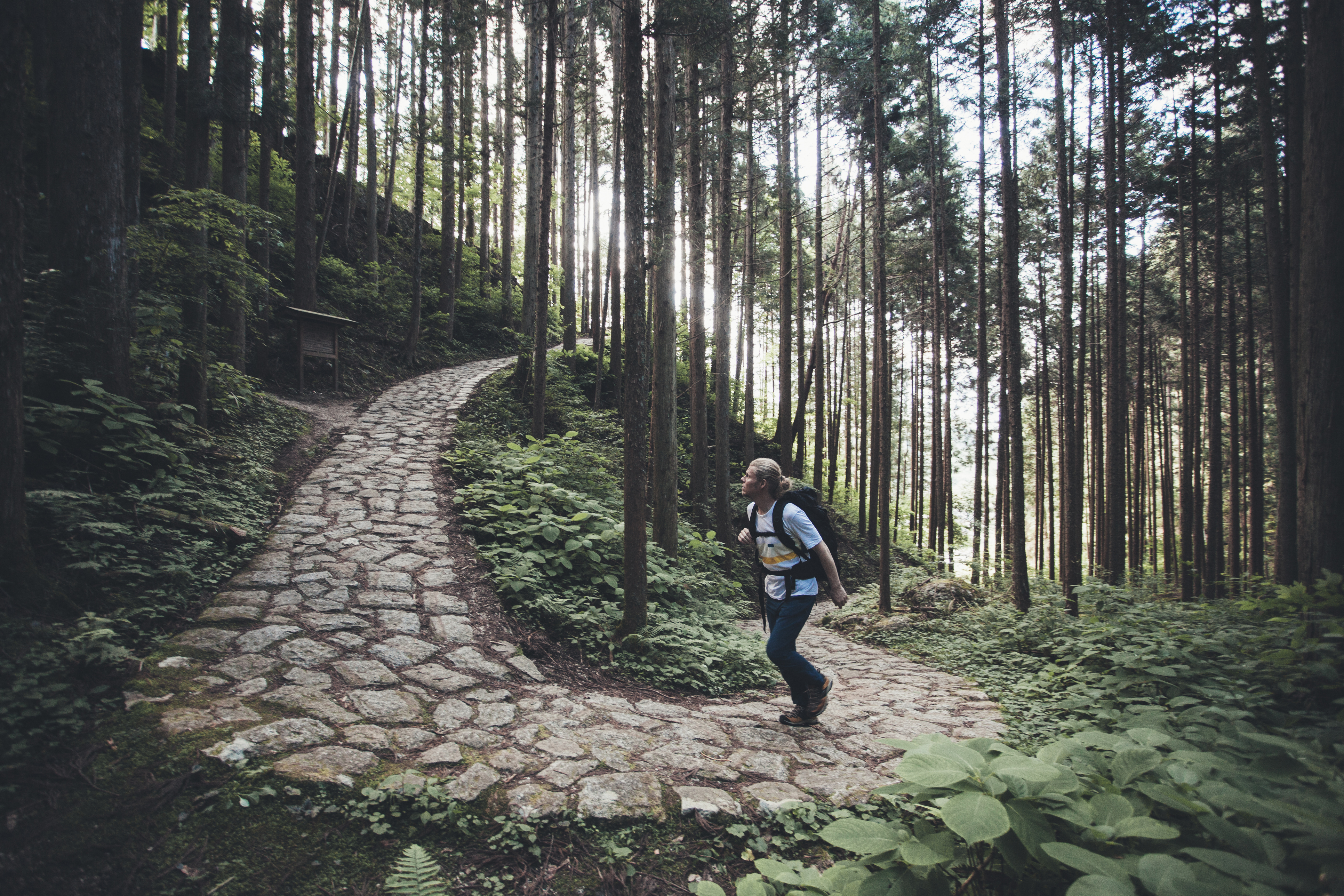 Hiking Nakasendo trail
