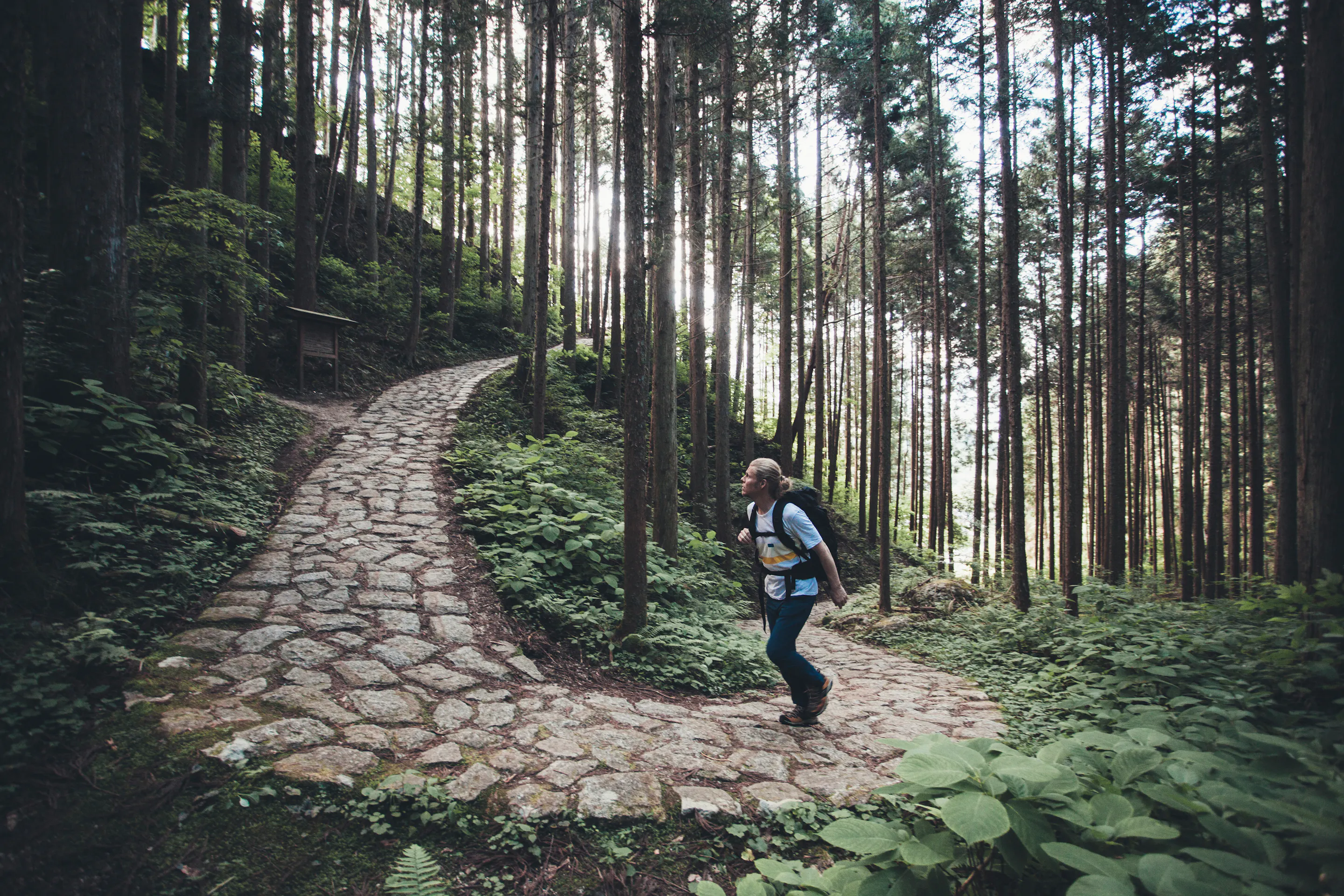 Hiking Nakasendo trail