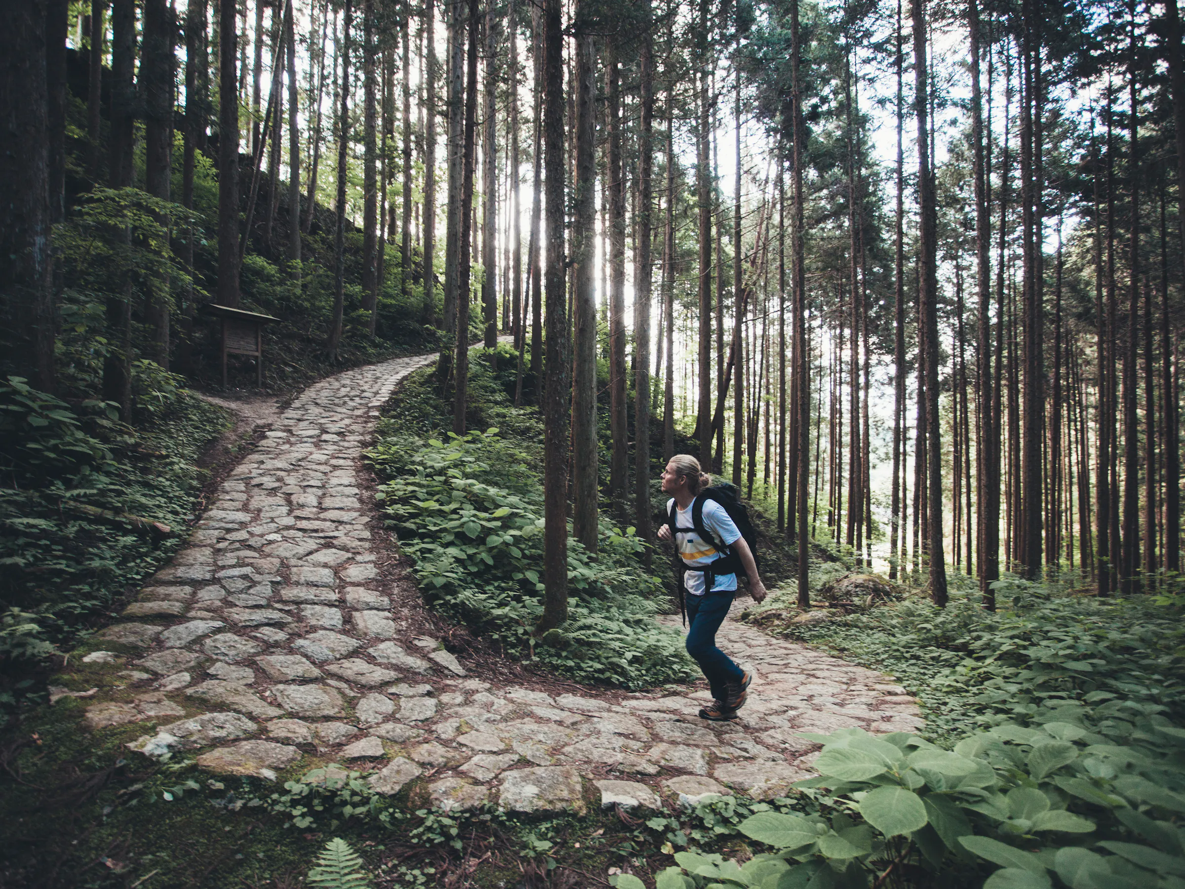 Hiking Nakasendo trail