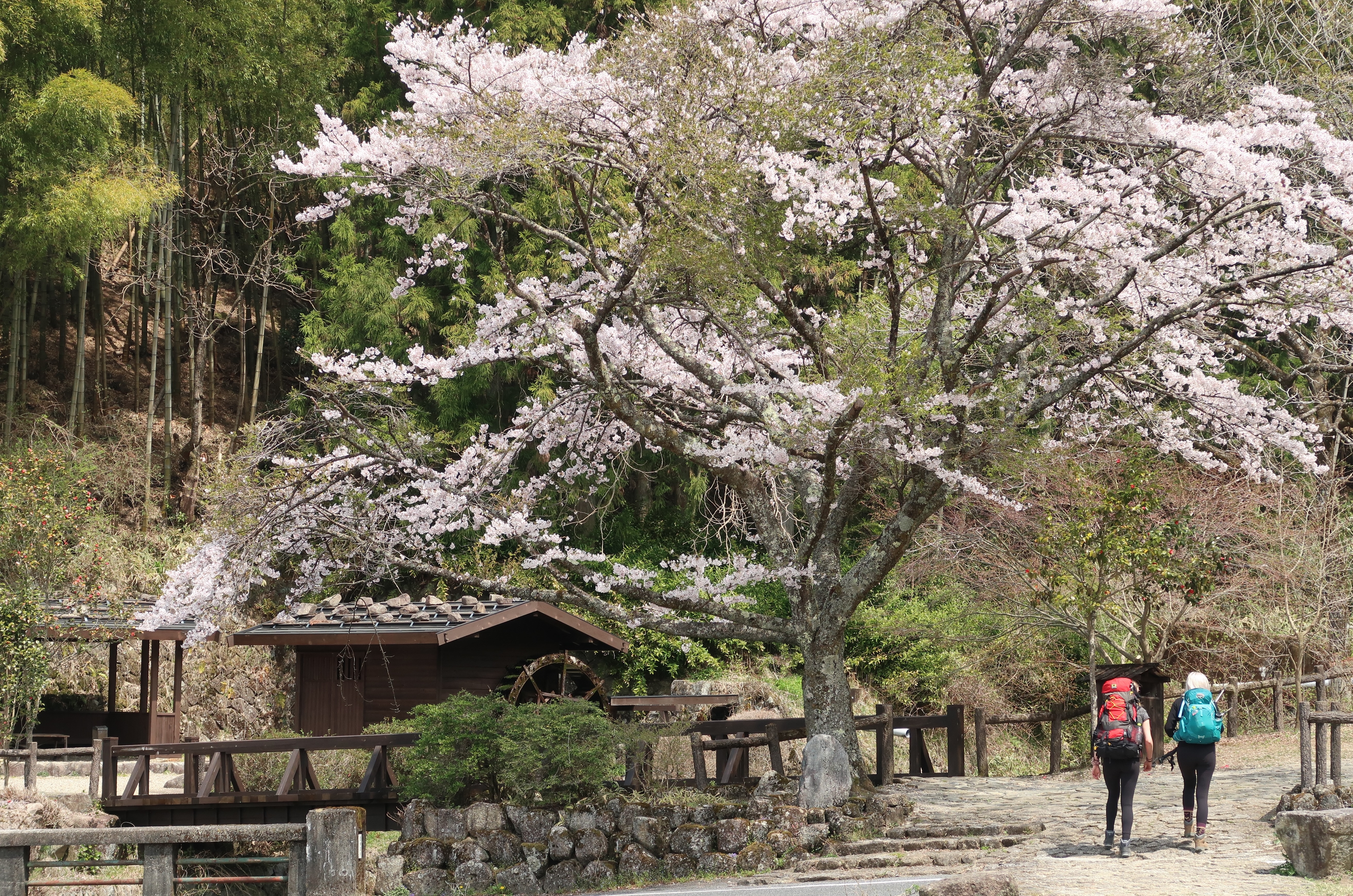 Hiking Nakasendo trail between Magome and Tsumago