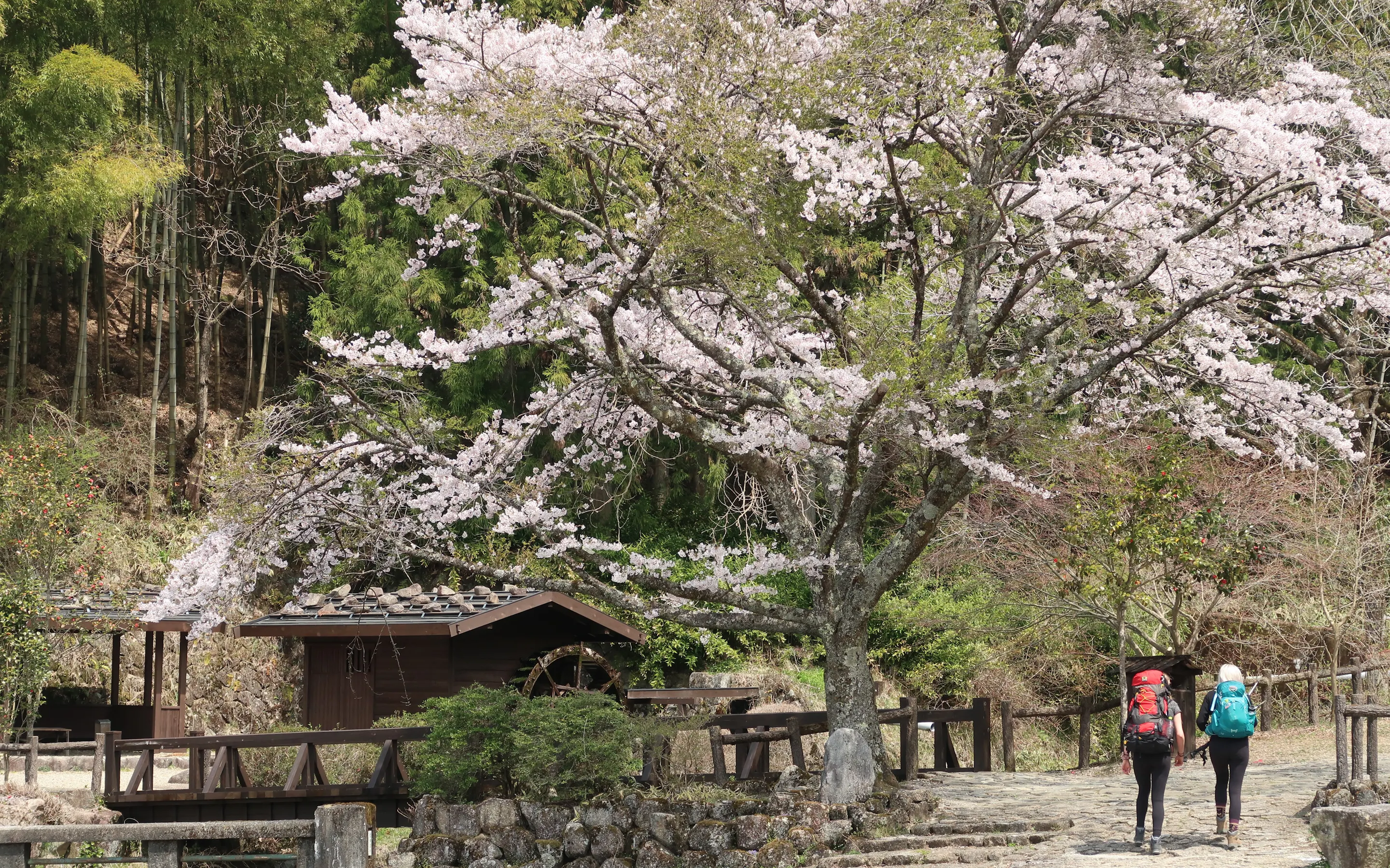 Hiking Nakasendo trail between Magome and Tsumago