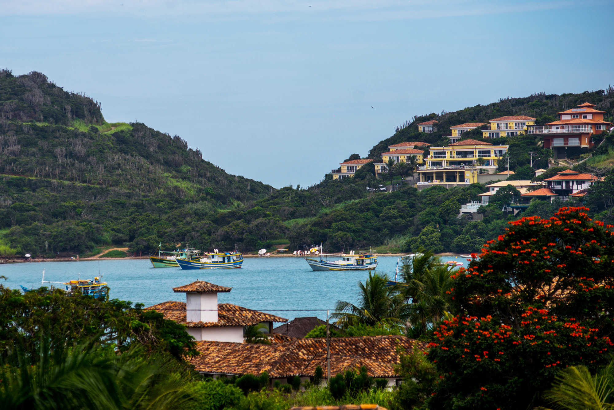 A scenic coastal bay in Brazil's Costa Verde region, featuring several colorful fishing boats moored in calm turquoise water, surrounded by lush green hills. 