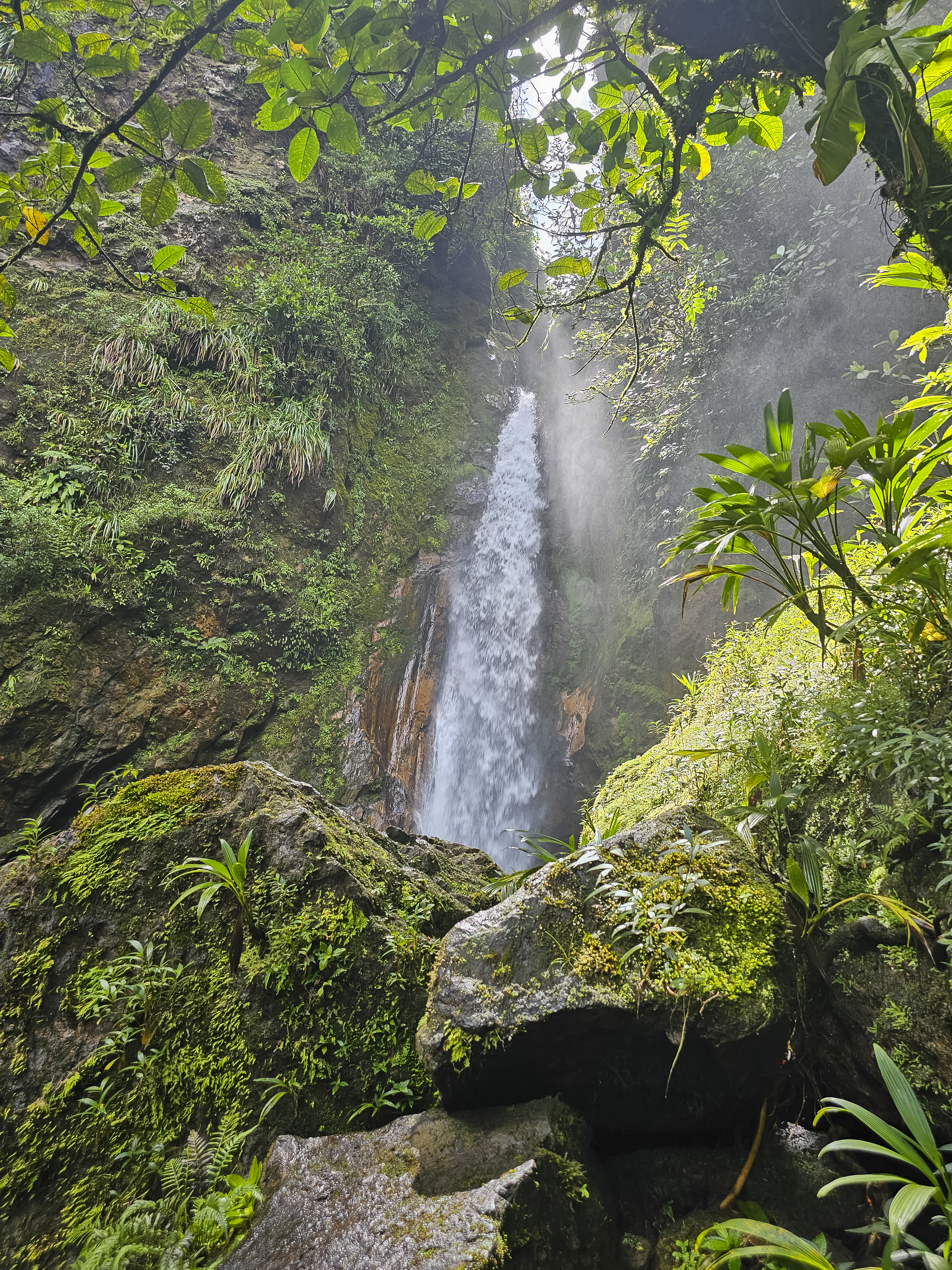 Waterfall cascading through lush rainforest in Valle de Antón, Panama