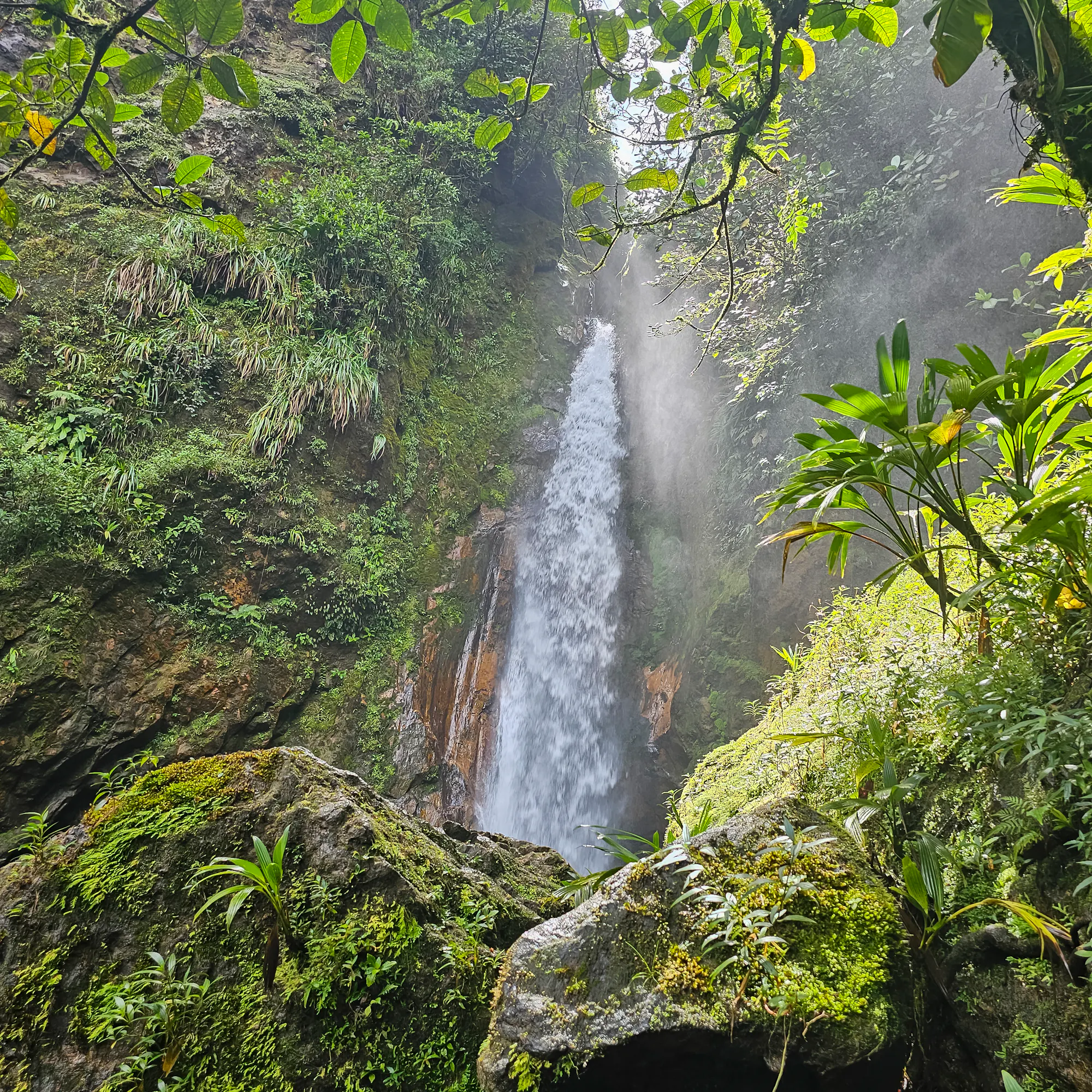 Waterfall cascading through lush rainforest in Valle de Antón, Panama