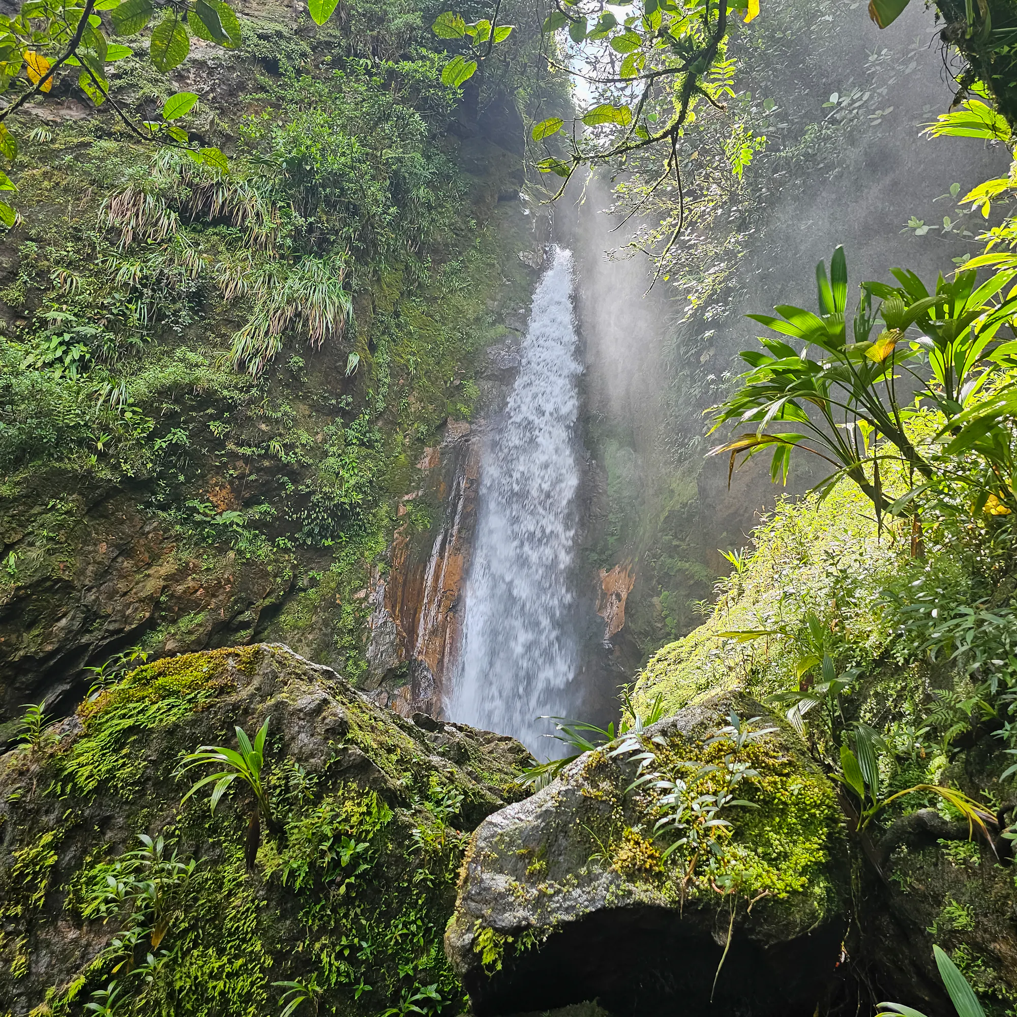 Waterfall cascading through lush rainforest in Valle de Antón, Panama