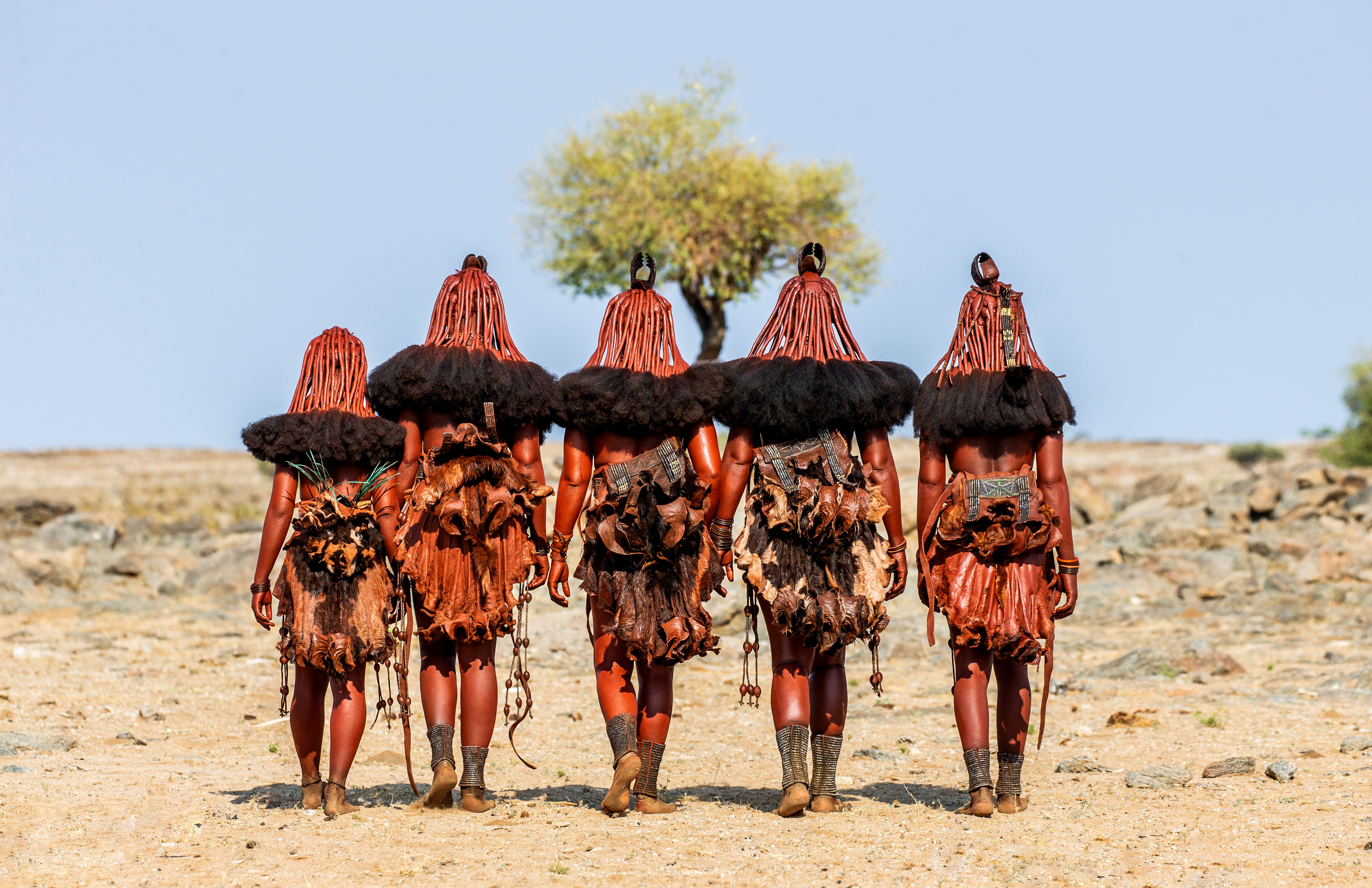 Himba women in traditional ochre dress walking, Namibia Africa