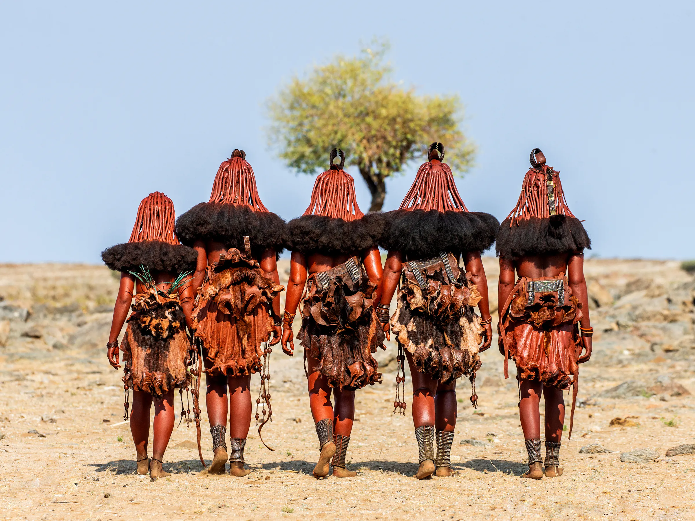 Himba women in traditional ochre dress walking, Namibia Africa