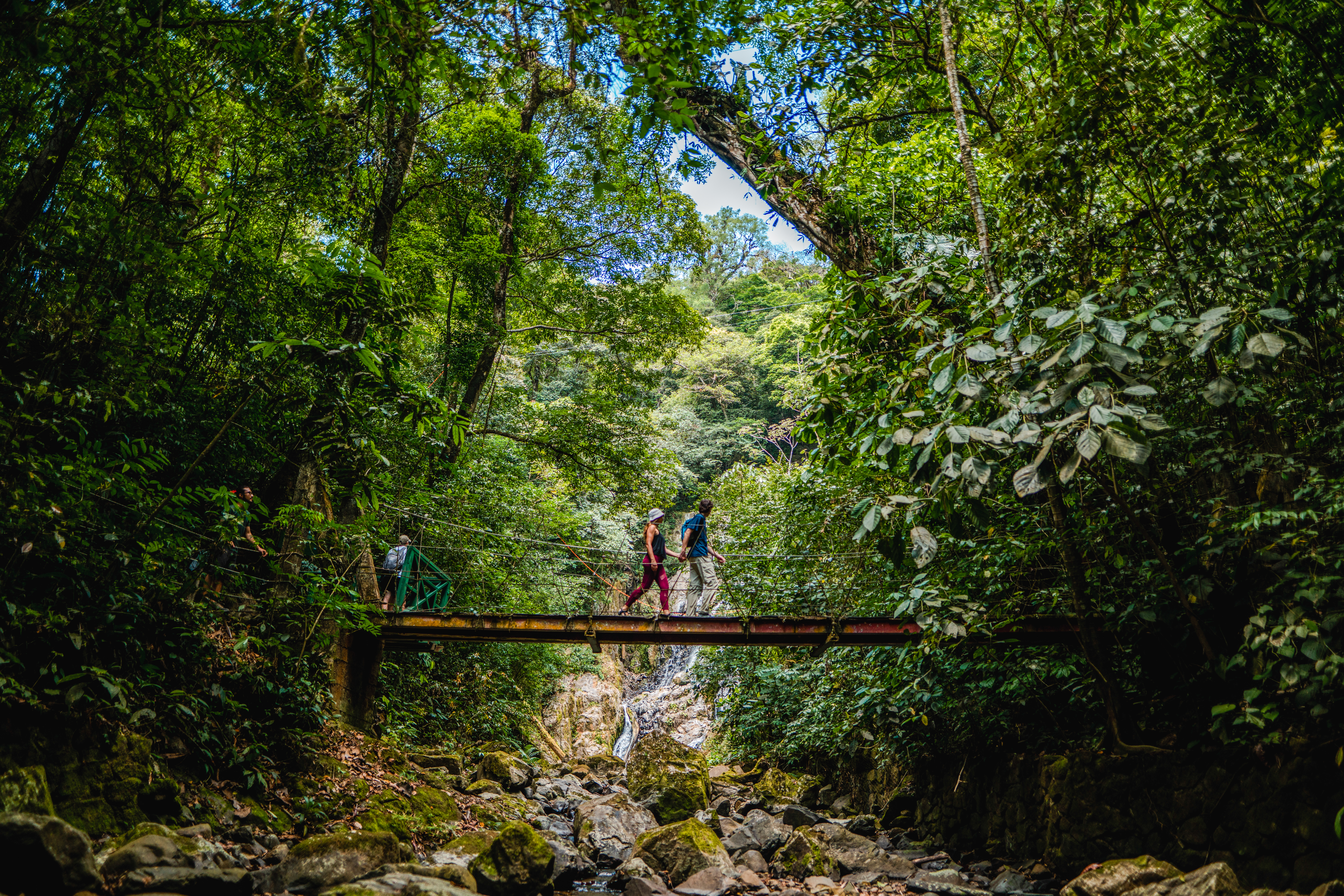Hikers crossing a suspension bridge above a waterfall on the Sendero Chorro El Macho trail in Valle de Antón, Panama