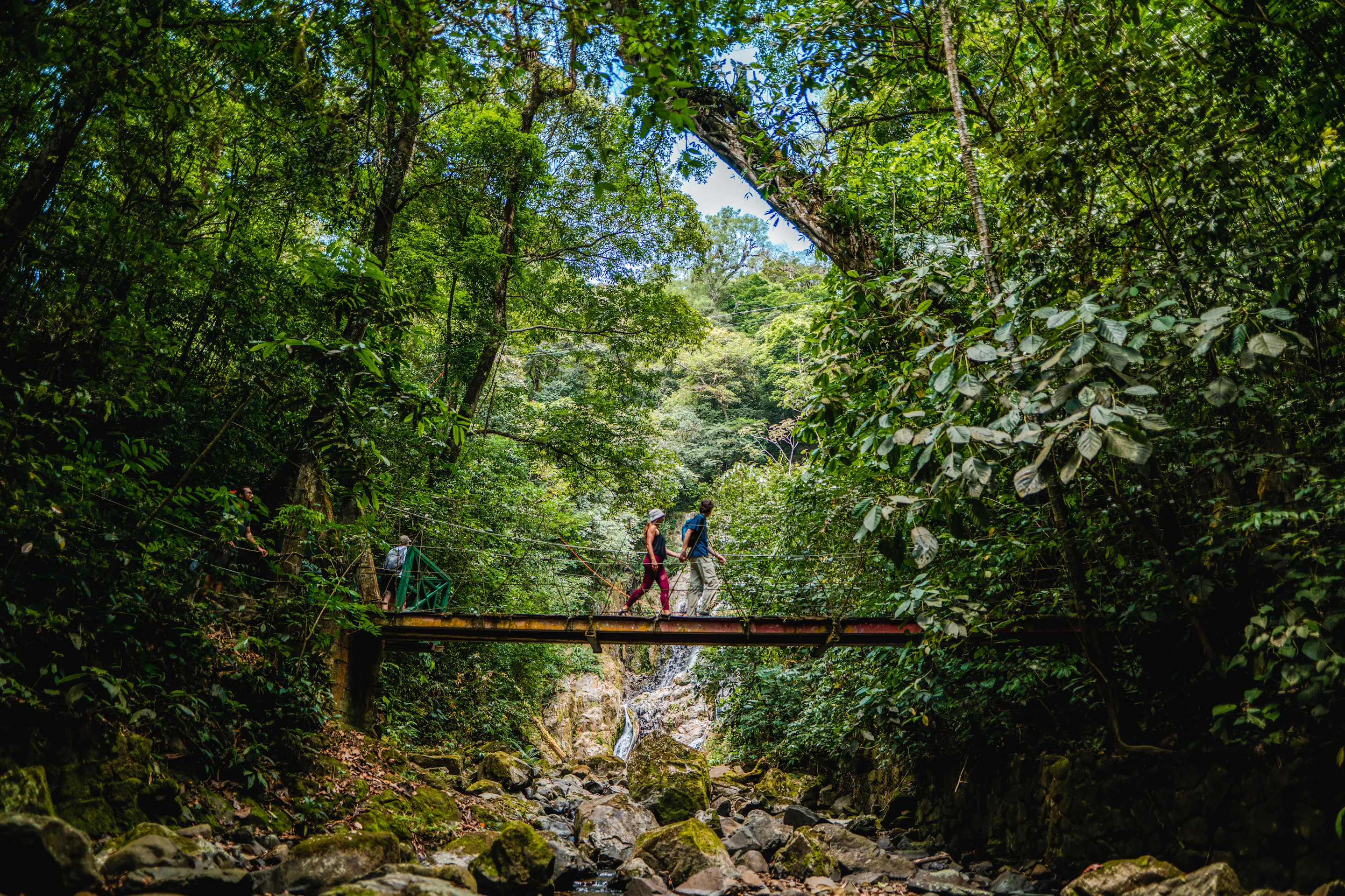 Hikers crossing a suspension bridge above a waterfall on the Sendero Chorro El Macho trail in Valle de Antón, Panama