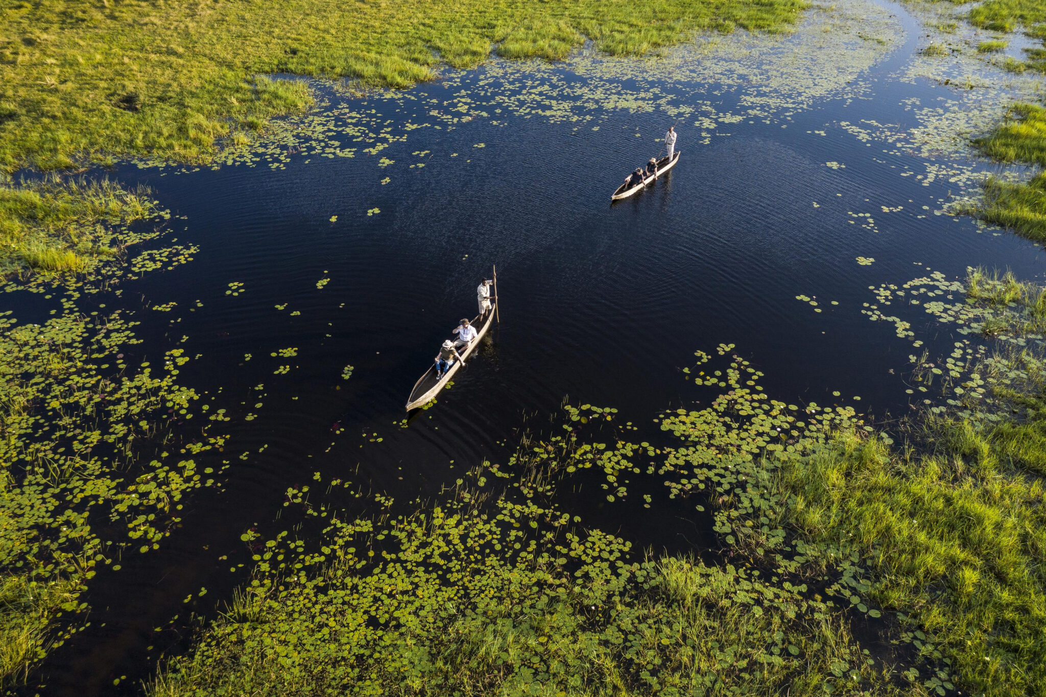 Aerial view of two mokoro canoes gliding through Okavango Delta channels lined with lily pads.