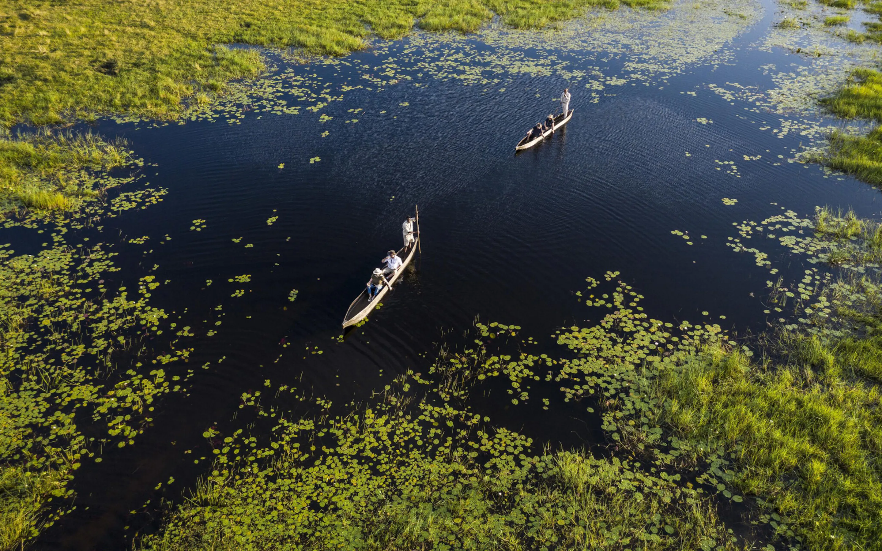 Aerial view of two mokoro canoes gliding through Okavango Delta channels lined with lily pads.