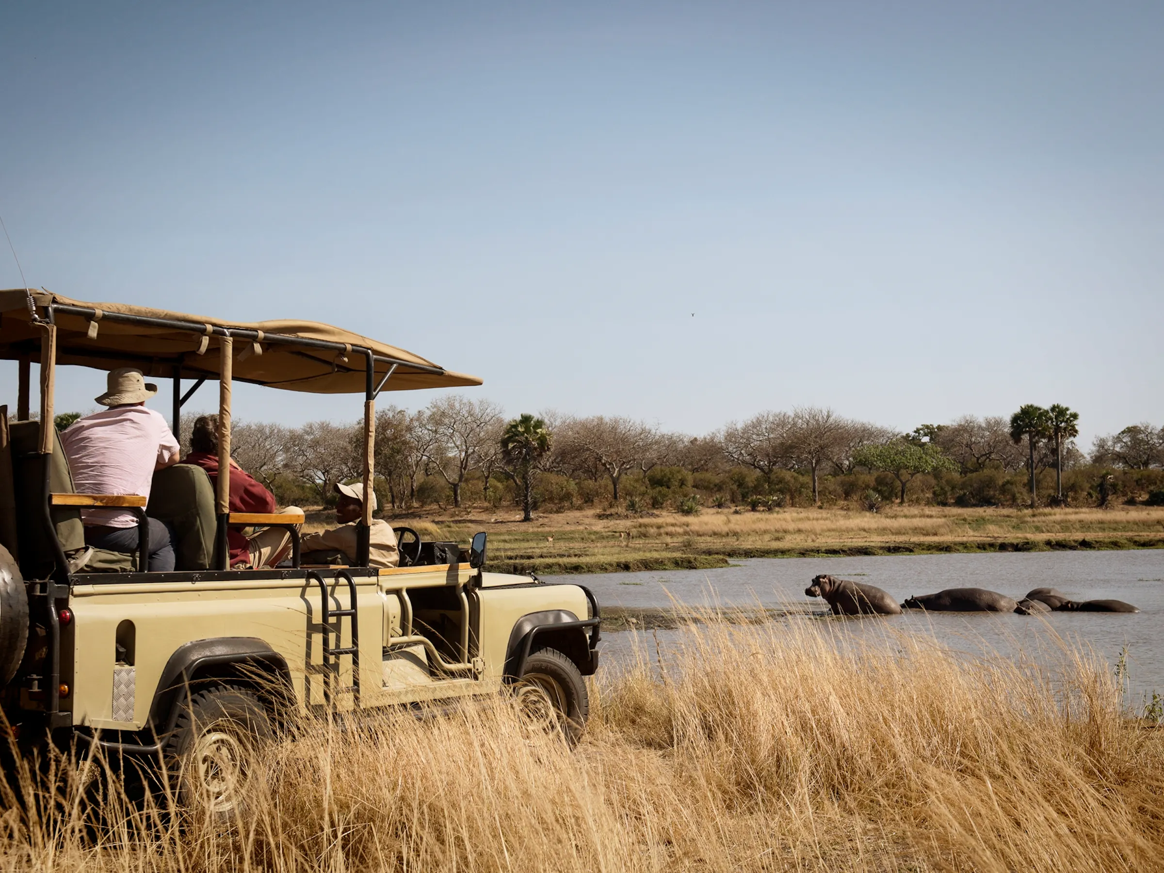 Safari vehicle watching a pod of hippos at a waterhole in Katavi National Park, Tanzania