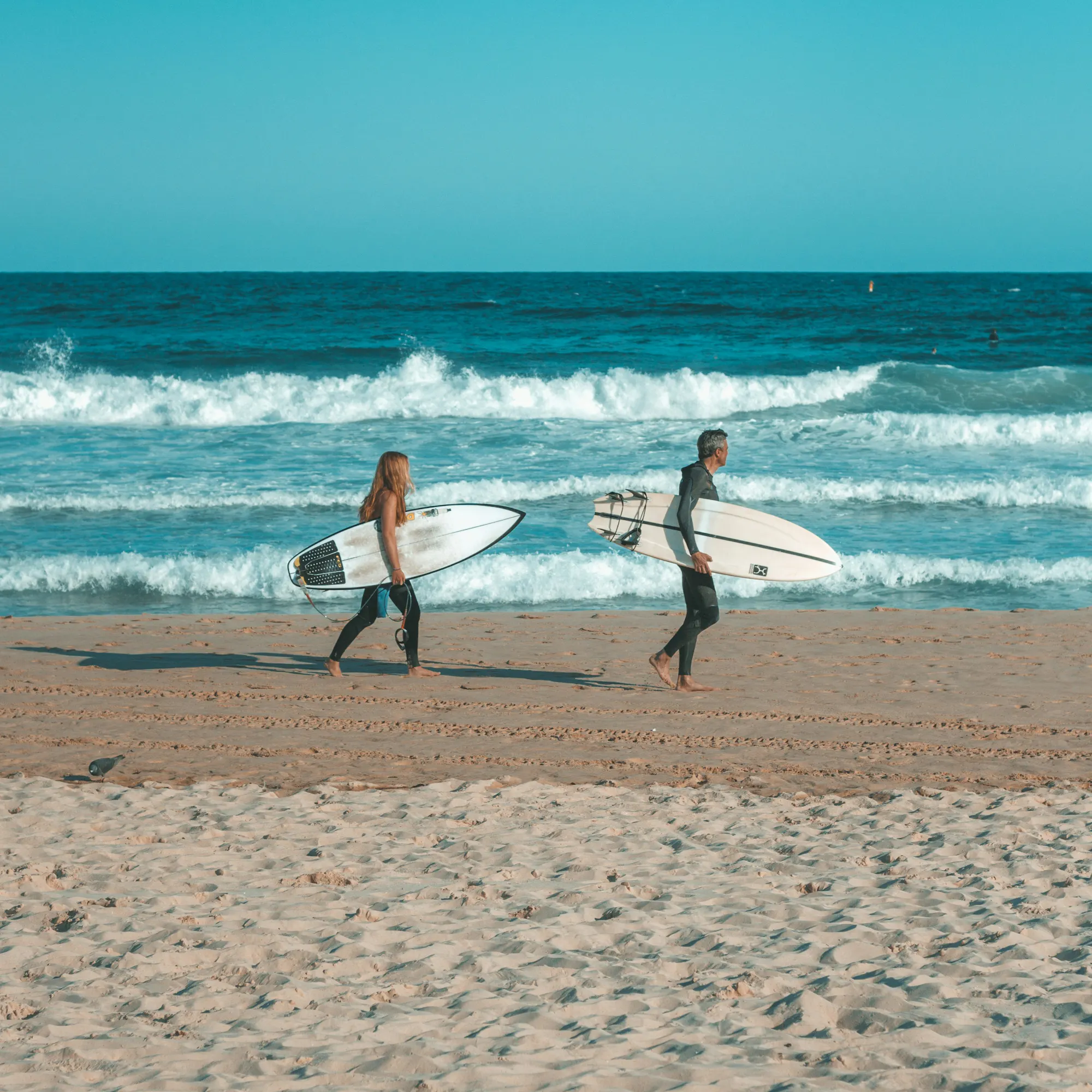 Two surfers carrying boards on Bondi Beach, Sydney Australia