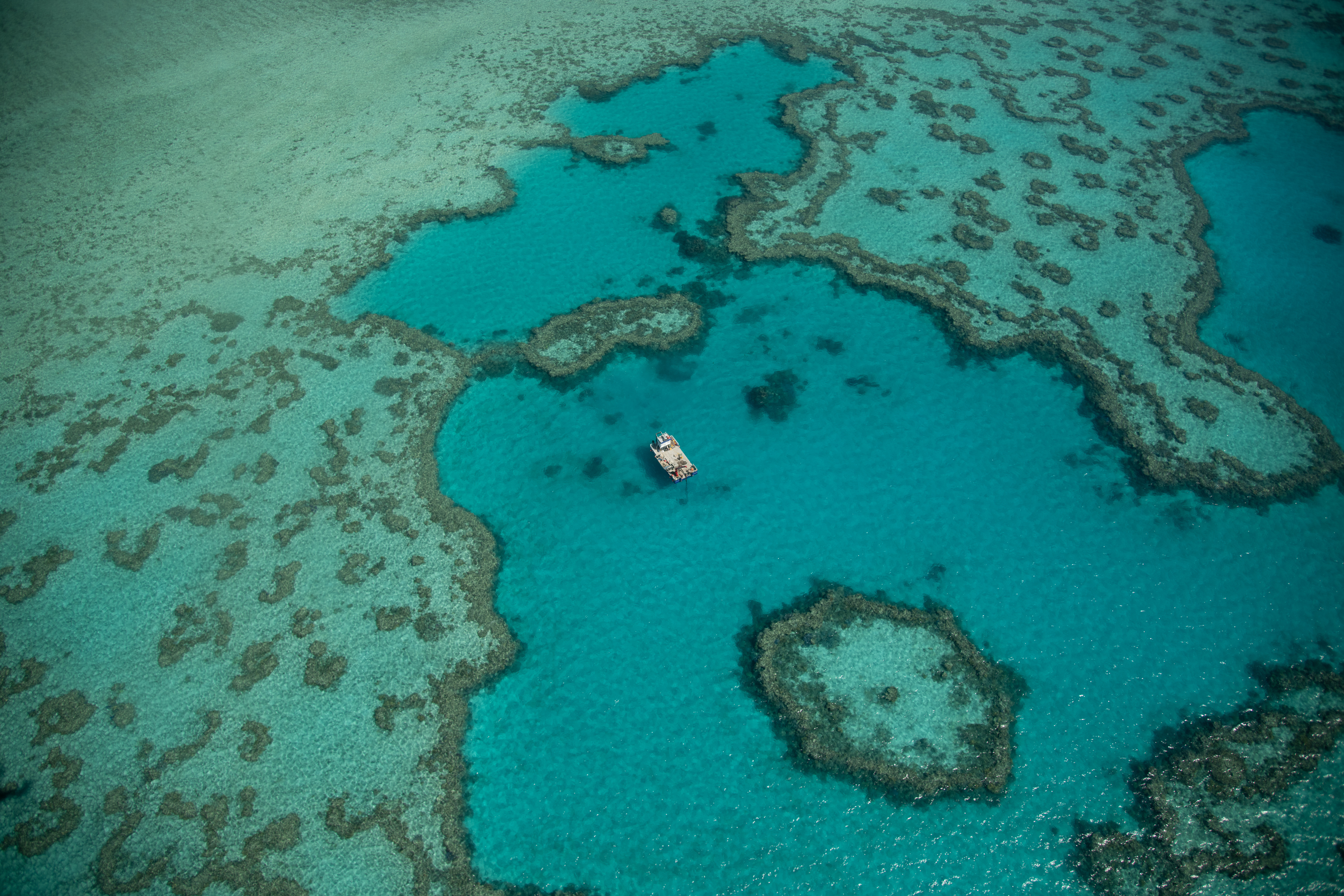 Aerial view of Heart Reef with dive boat, Great Barrier Reef Australia