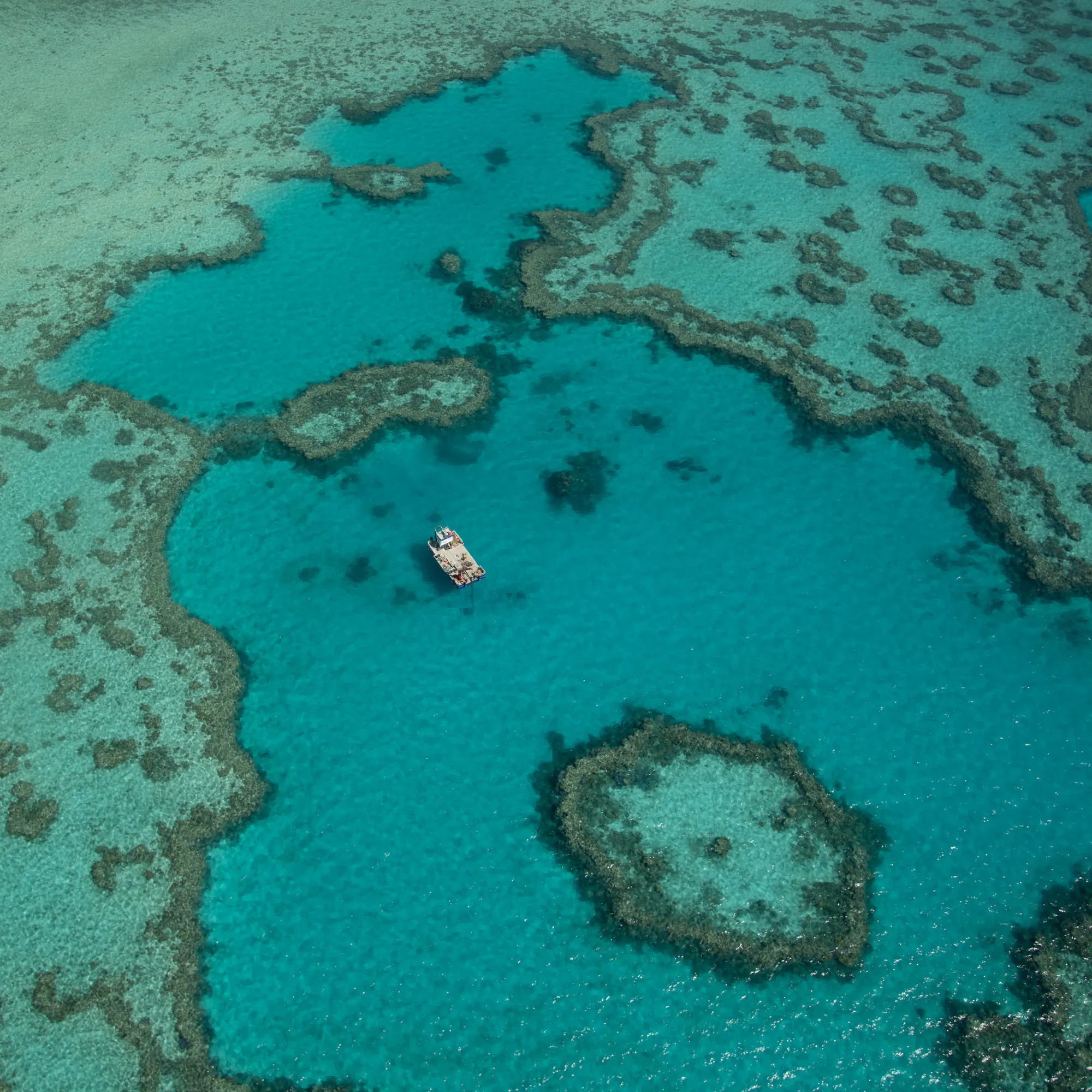 Aerial view of Heart Reef with dive boat, Great Barrier Reef Australia