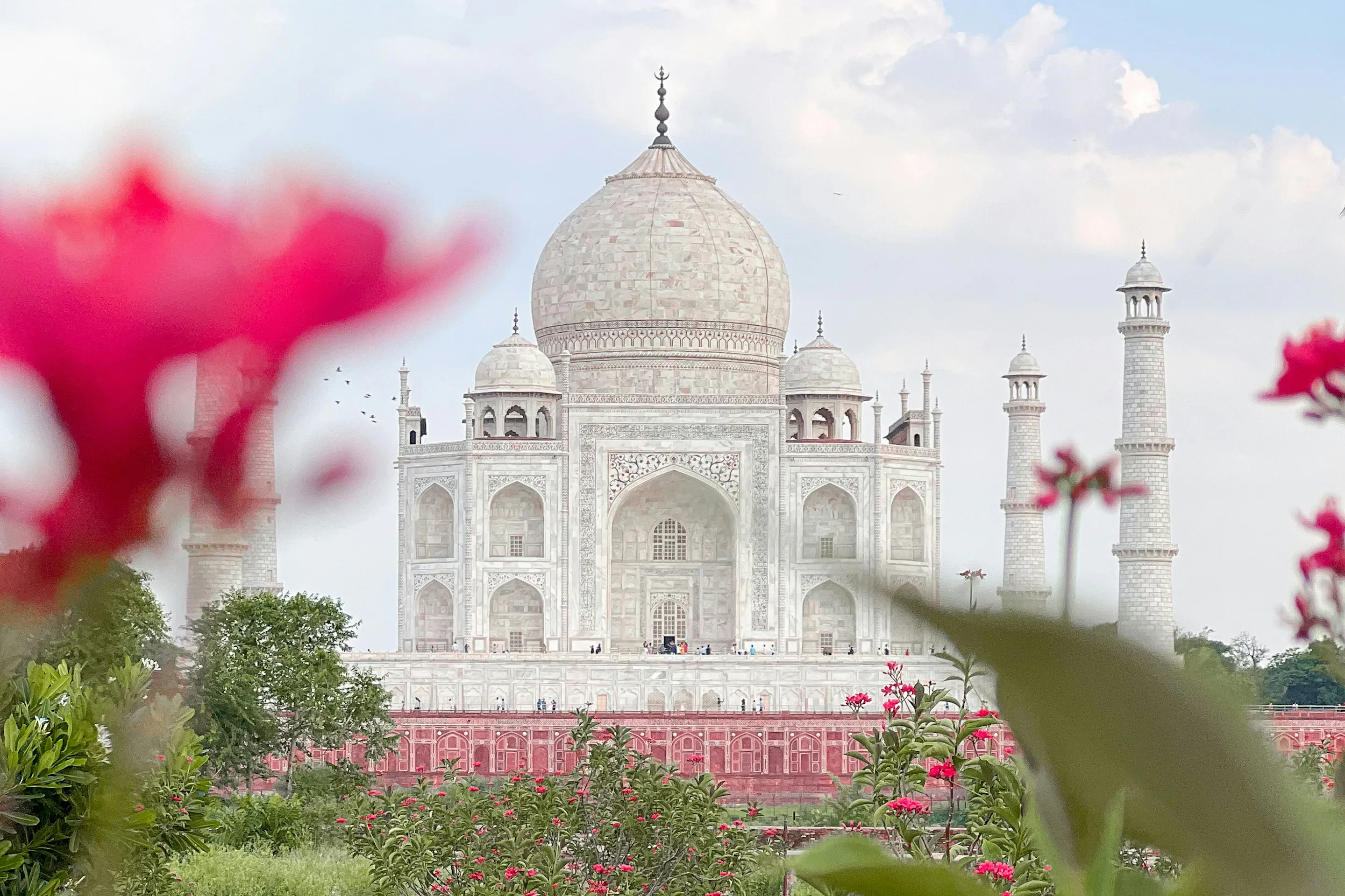 Taj Mahal in Agra, India viewed through pink flowers with a bird flying overhead against a blue sky