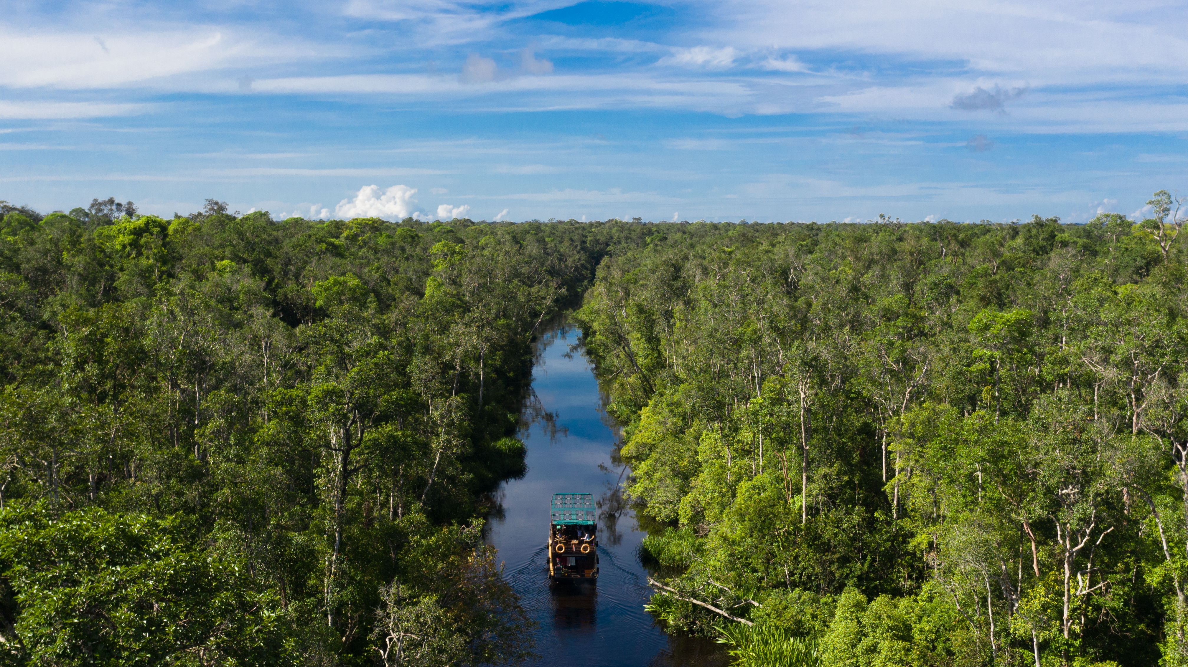River cruise boat navigating Sekonyer River through Borneo rainforest