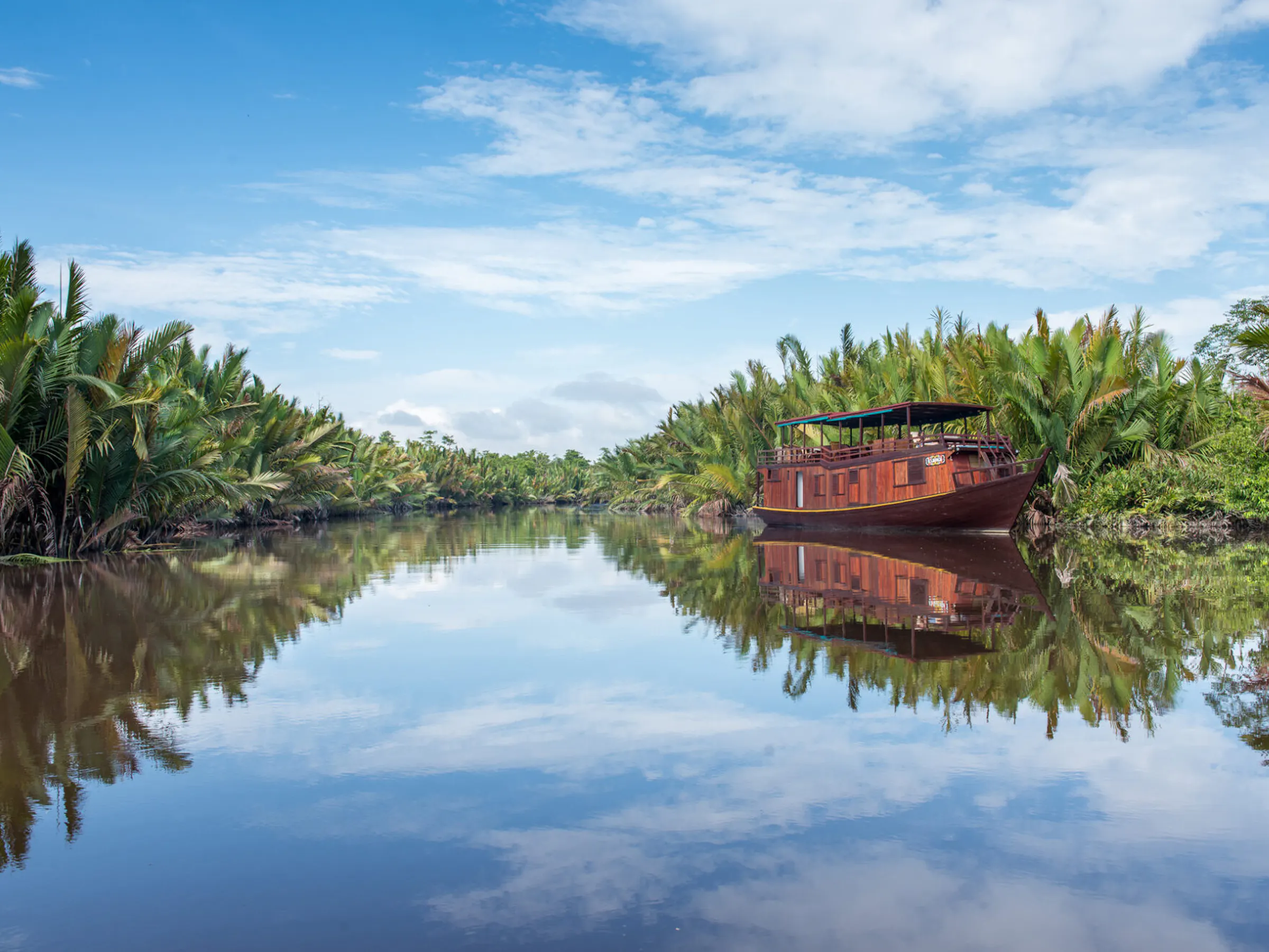 Traditional klotok houseboat on the Sekonyer River in Tanjung Puting, Kalimantan, Borneo