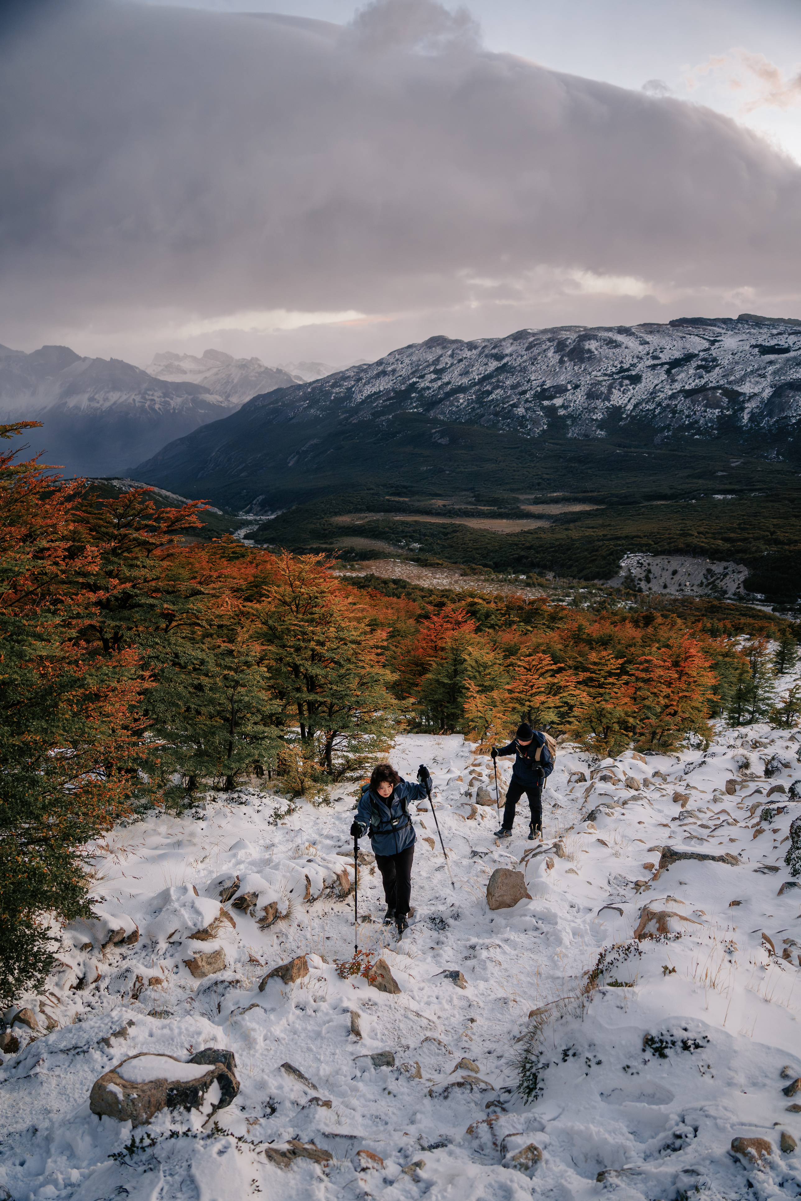 Hikers trekking through snow past autumn foliage near El Chaltén, Patagonia, Argentina