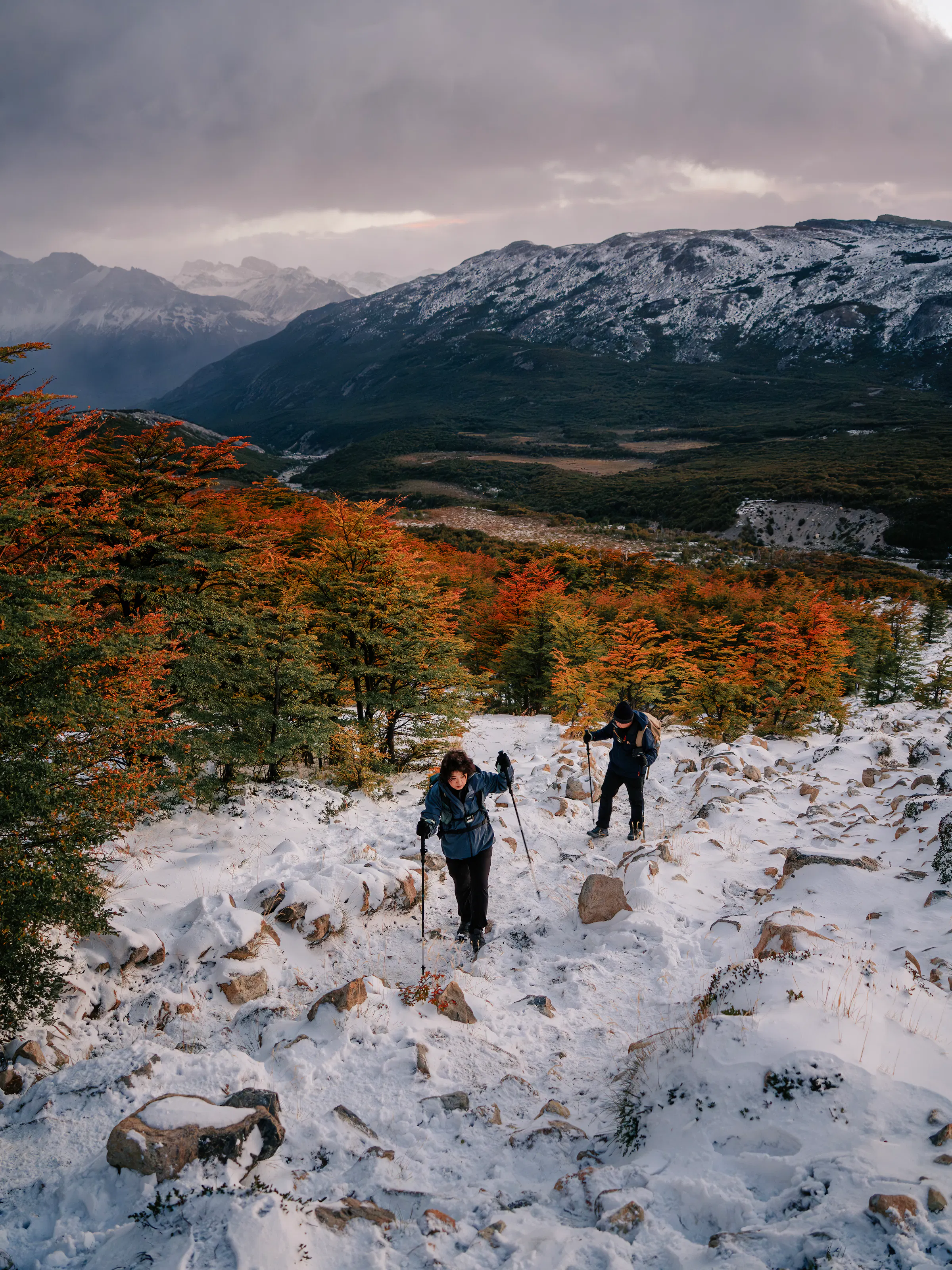 Hikers trekking through snow past autumn foliage near El Chaltén, Patagonia, Argentina
