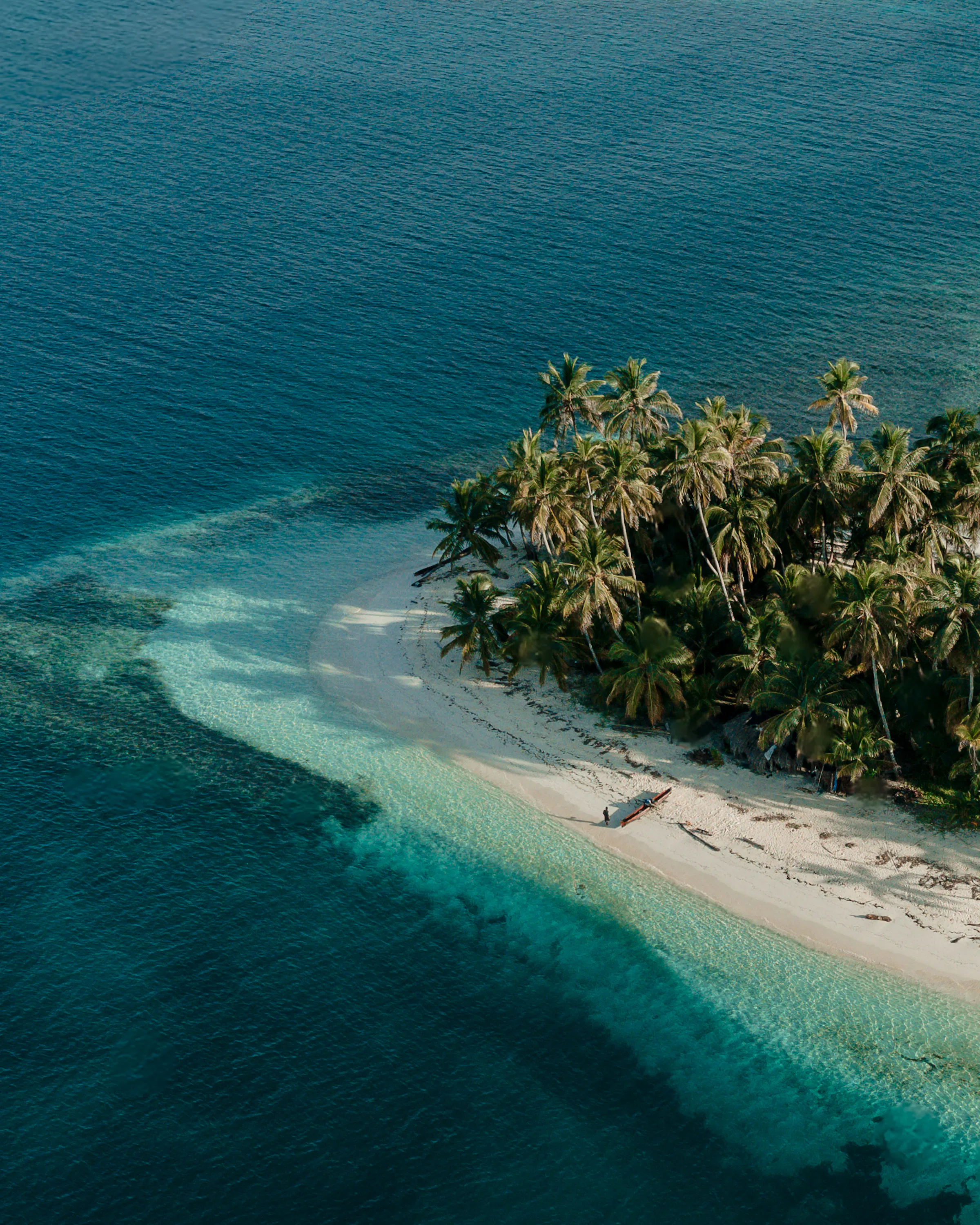 Aerial view of a sailing catamaran anchored beside a palm-covered island in Guna Yala, Panama
