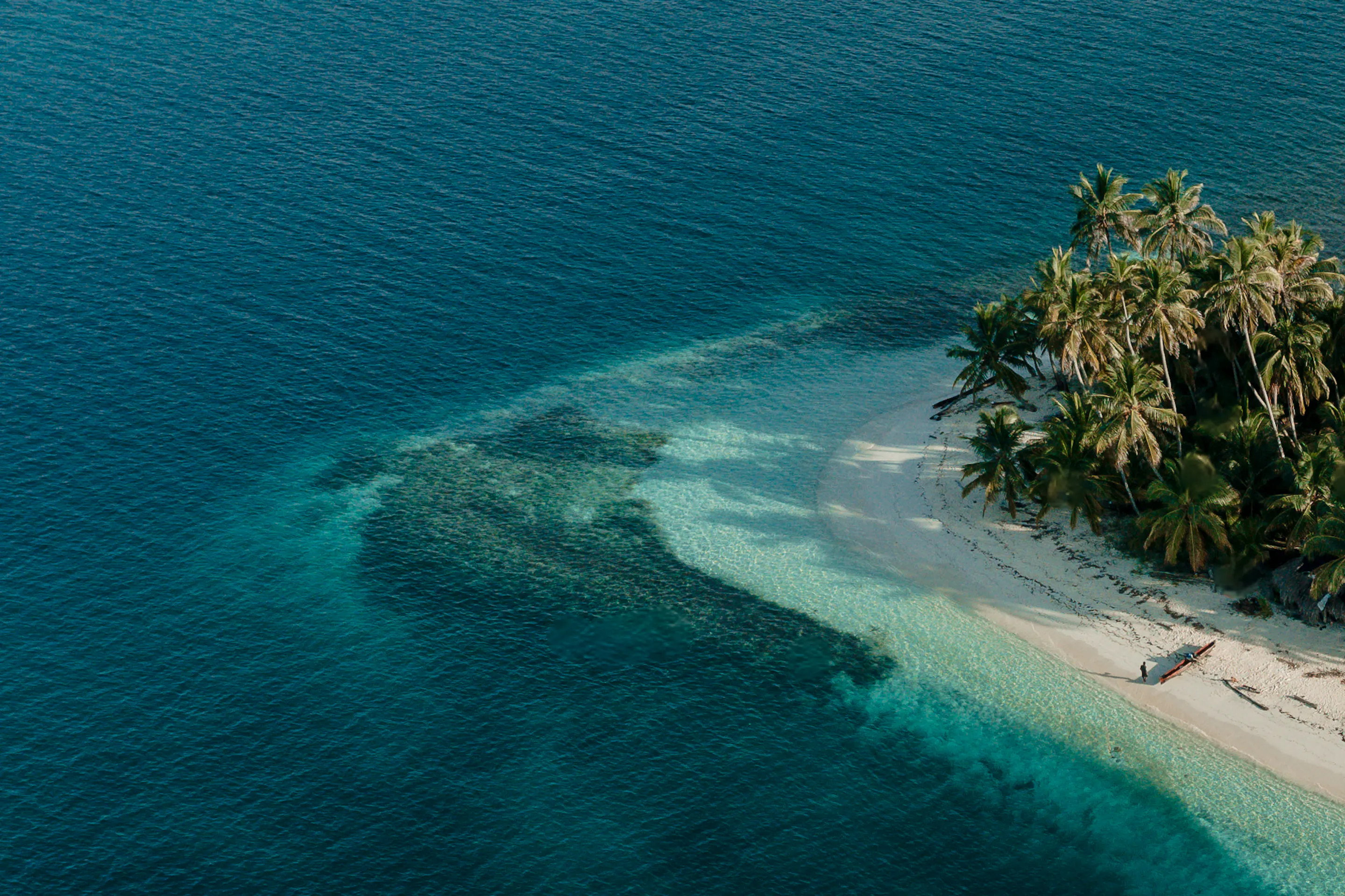 Aerial view of a sailing catamaran anchored beside a palm-covered island in Guna Yala, Panama