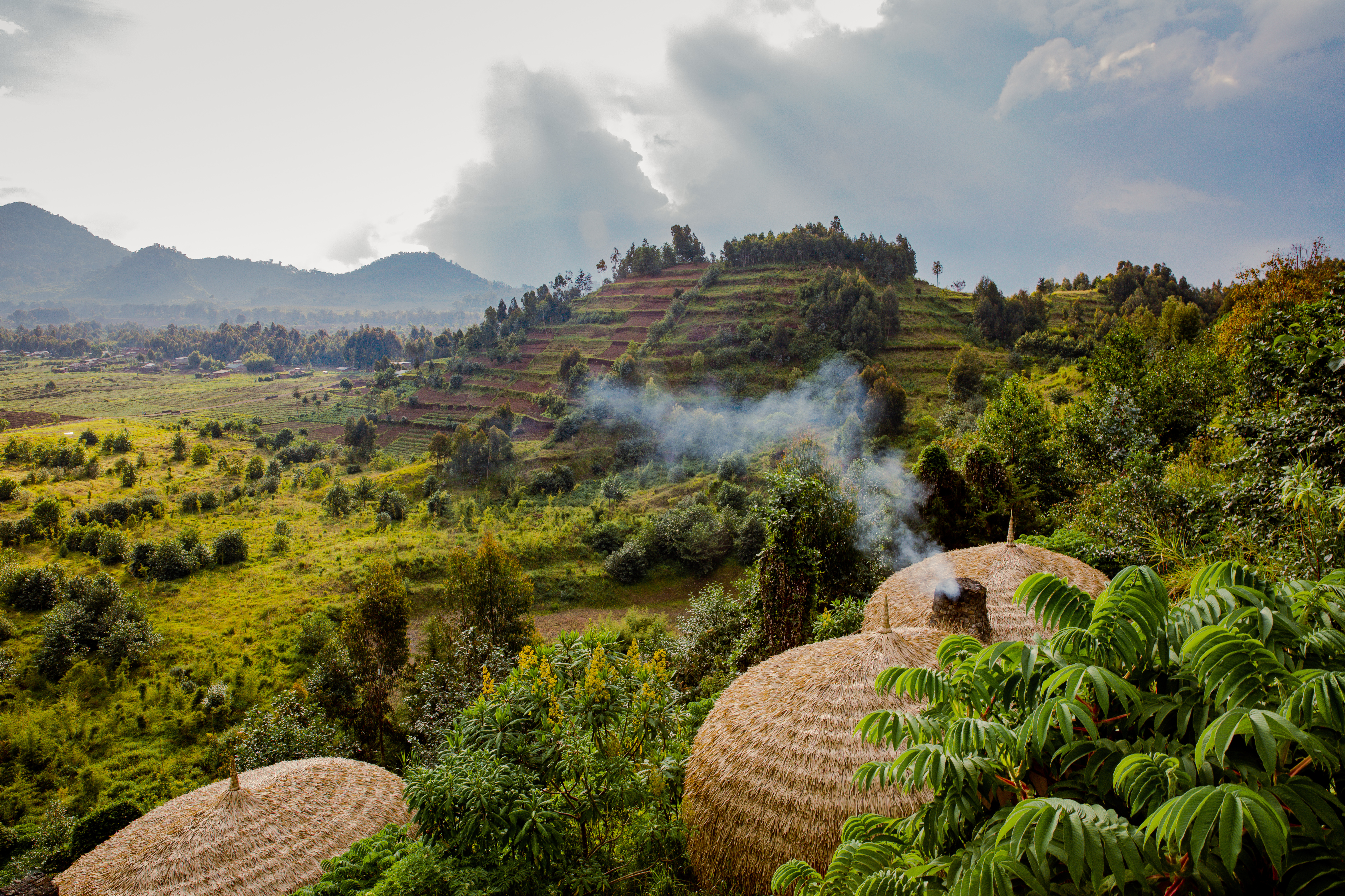 Thatched lodge huts with smoke above terraced hills, Rwanda