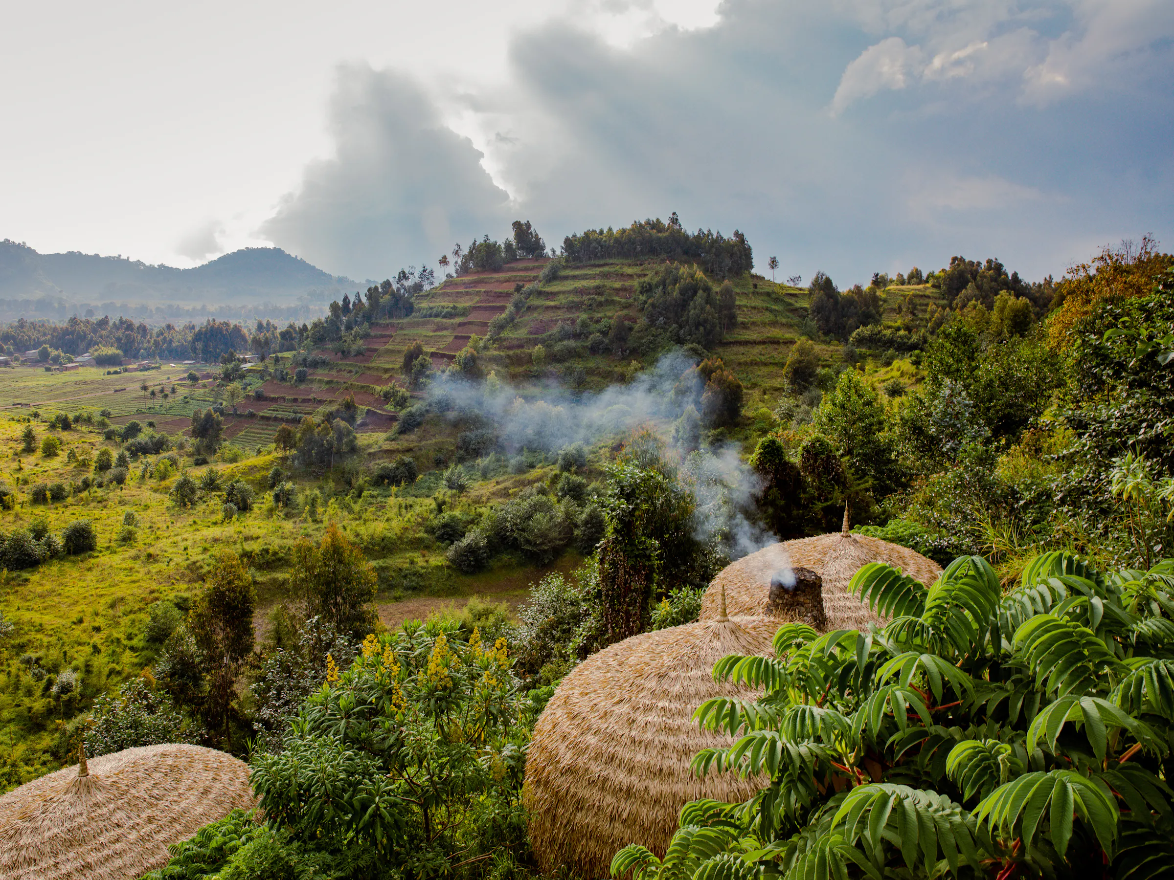 Thatched lodge huts with smoke above terraced hills, Rwanda