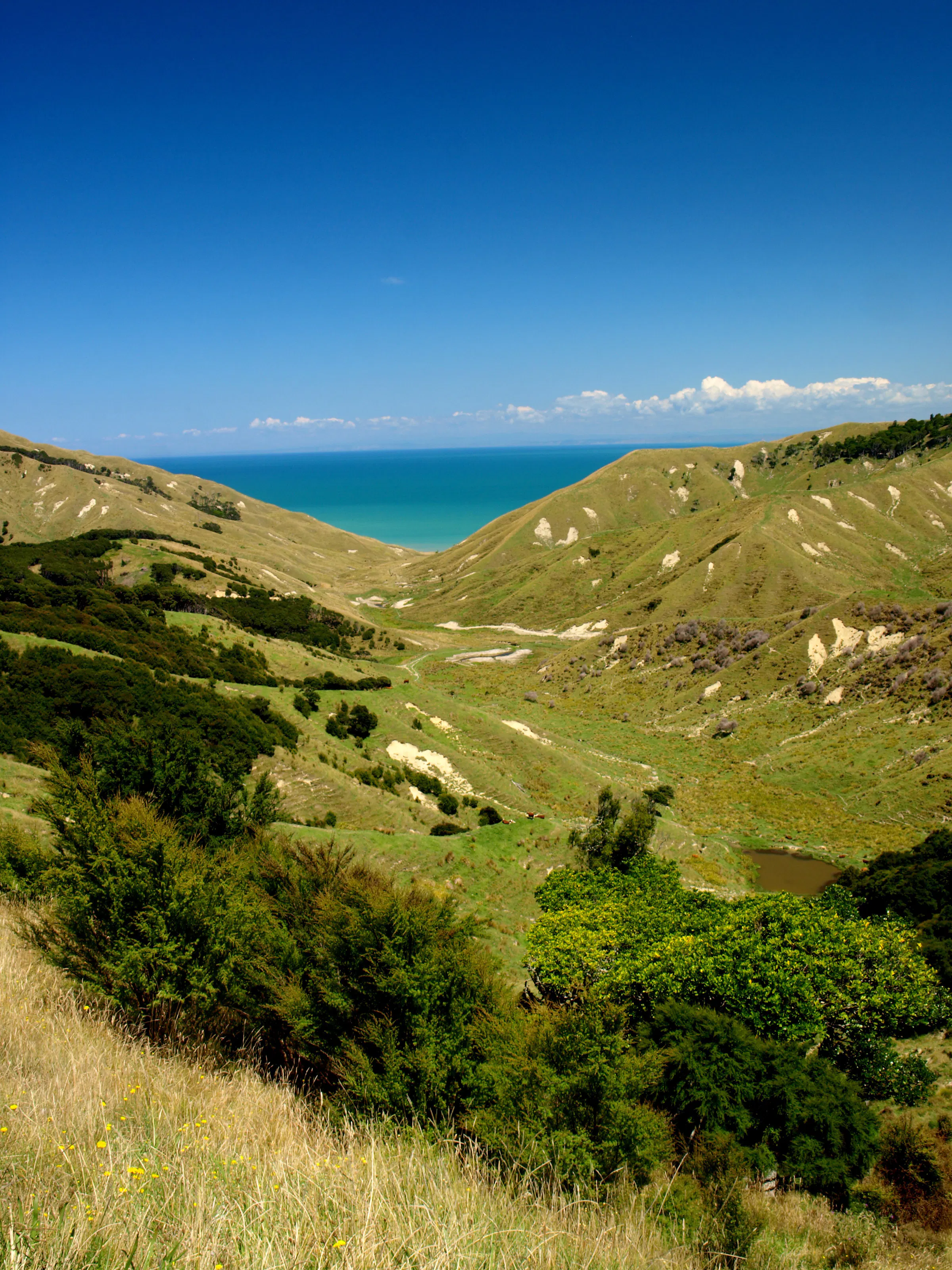 Green valley leading to the coastline in Hawke's Bay, New Zealand
