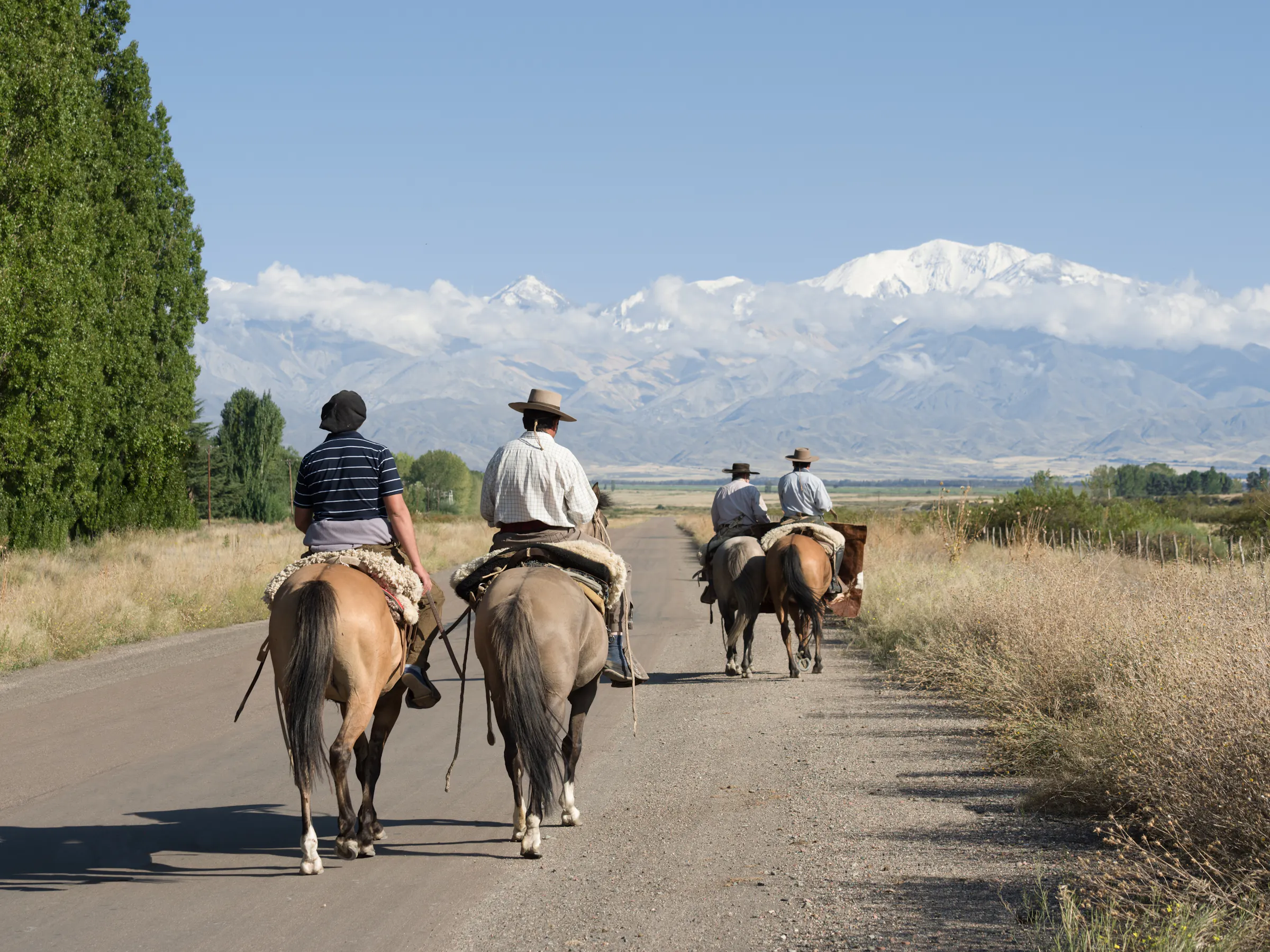 Gauchos riding horses toward snow-capped Andes, Mendoza Argentina