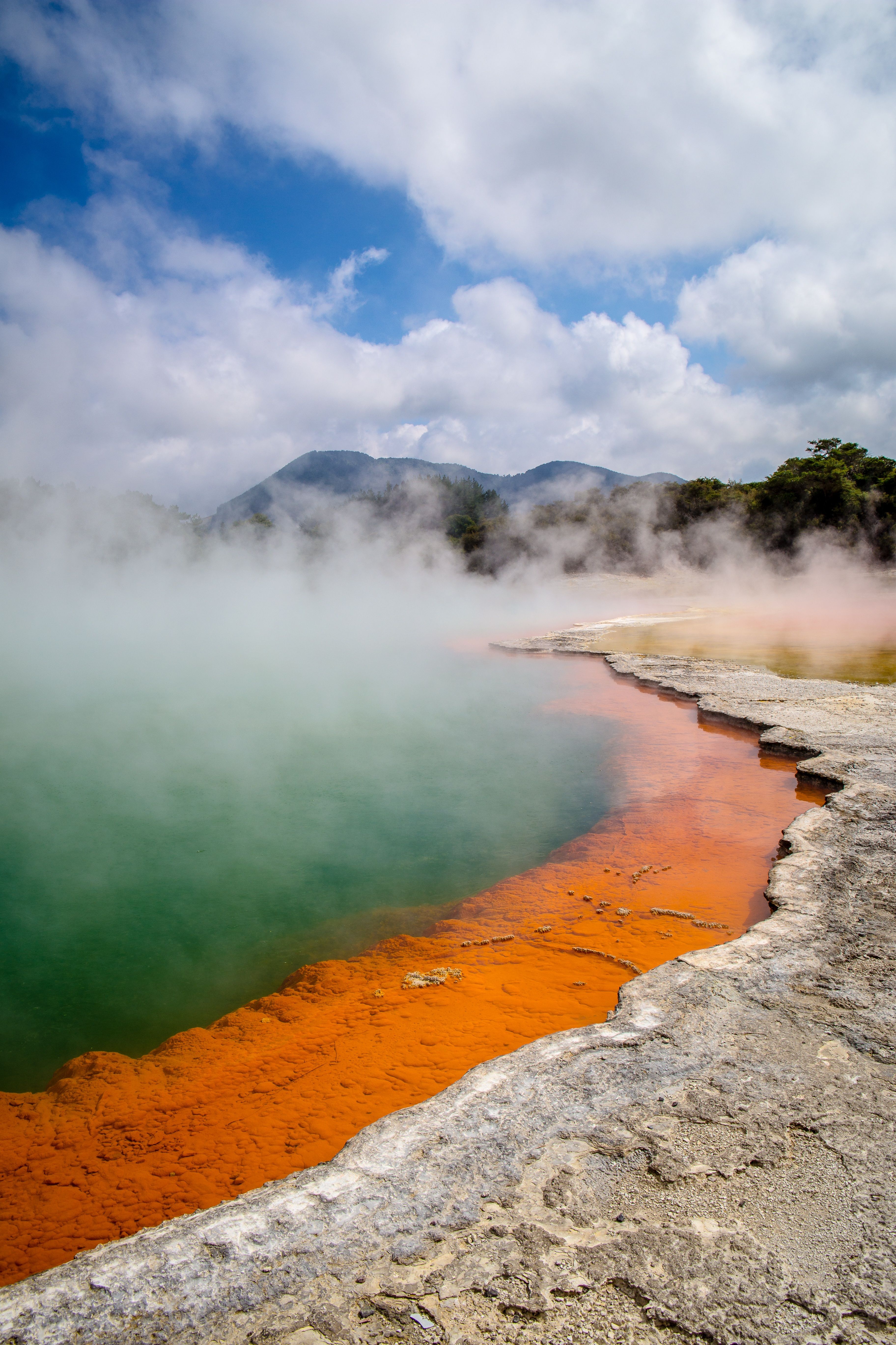 Steaming pool orange mineral edges, Wai-O-Tapu New Zealand