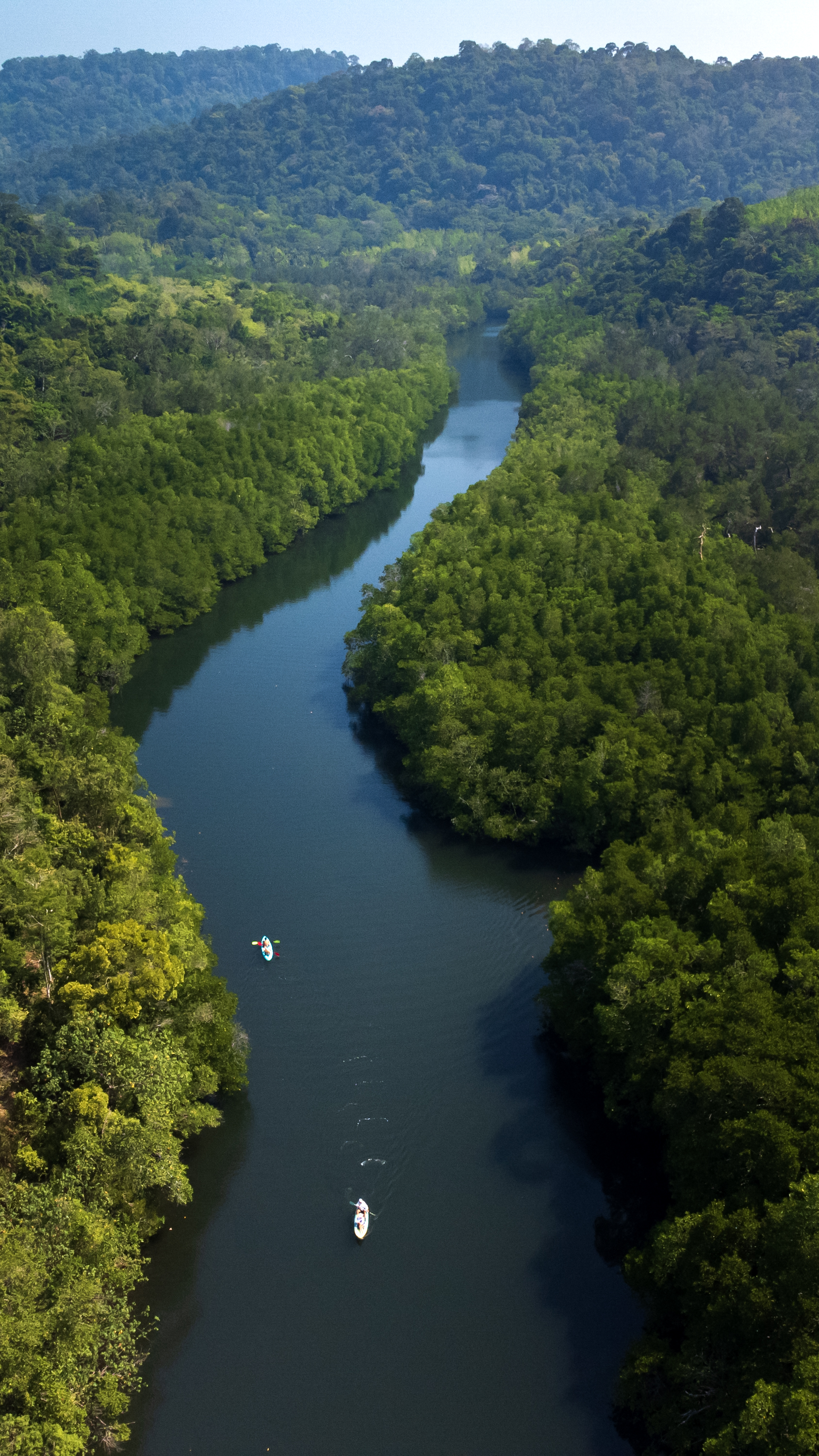 Aerial view of kayakers on jungle river, Khao Sok Thailand
