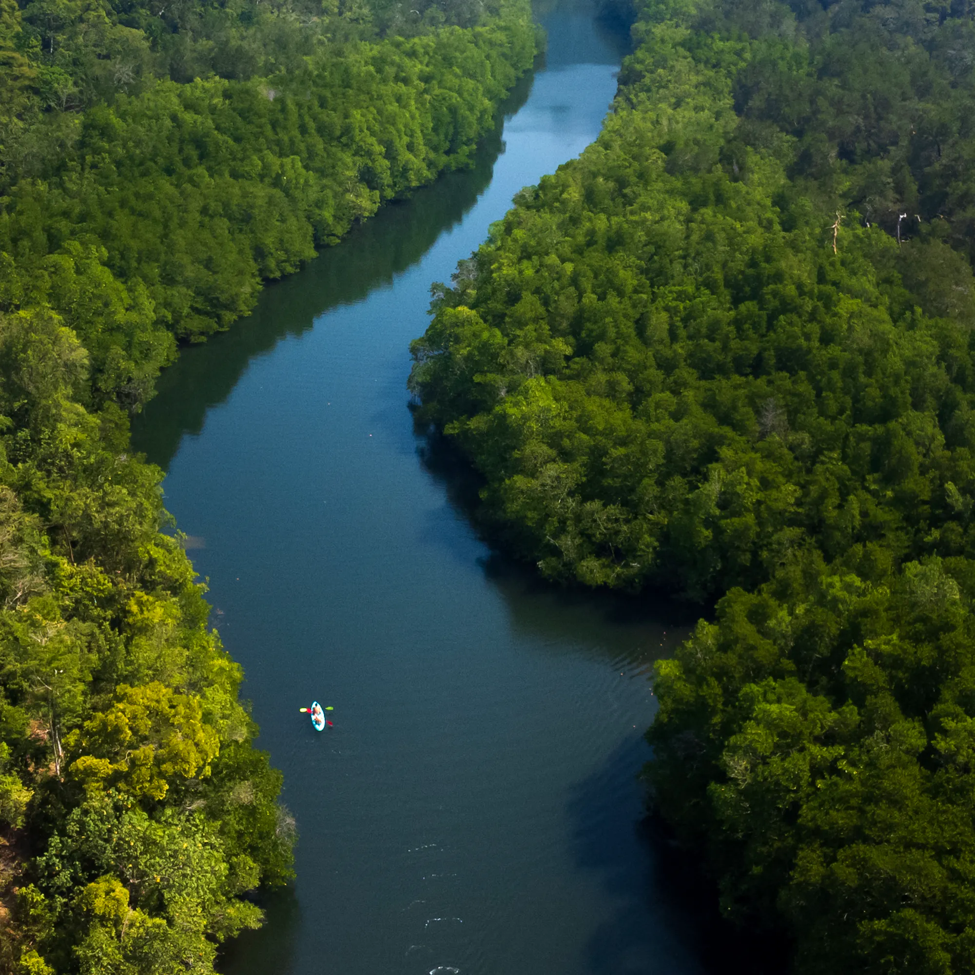 Aerial view of kayakers on jungle river, Khao Sok Thailand