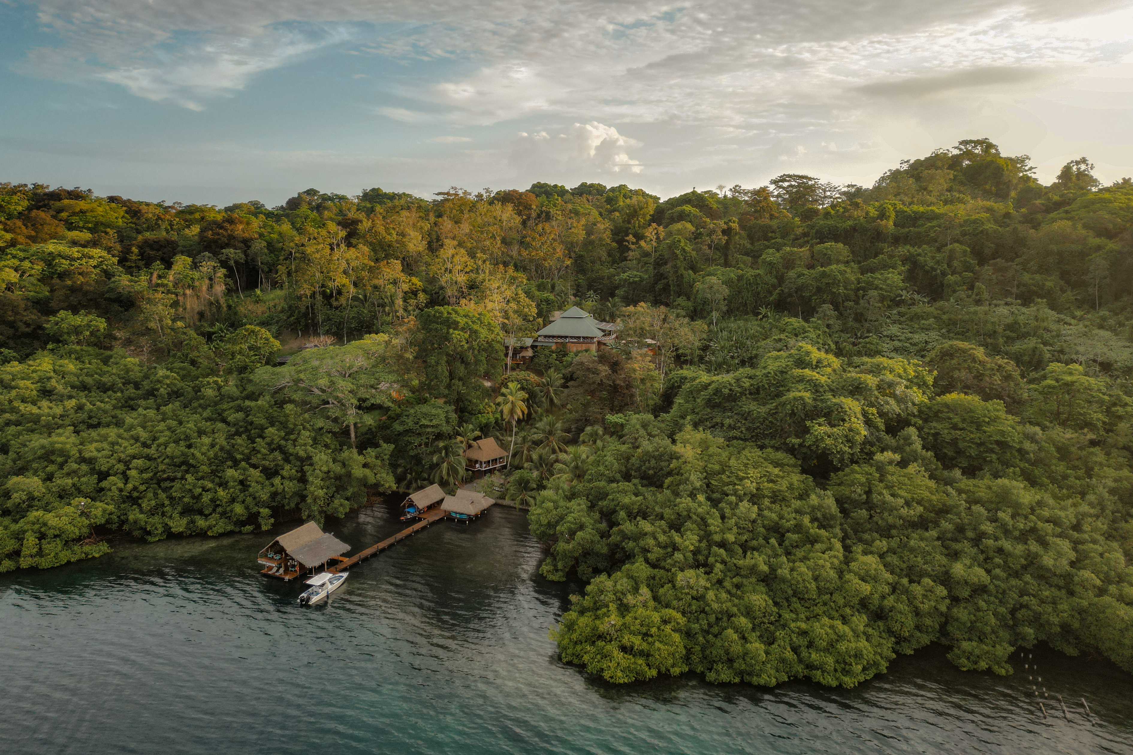 Aerial view of an overwater lodge and dock nestled in the rainforest of Bocas del Toro, Panama