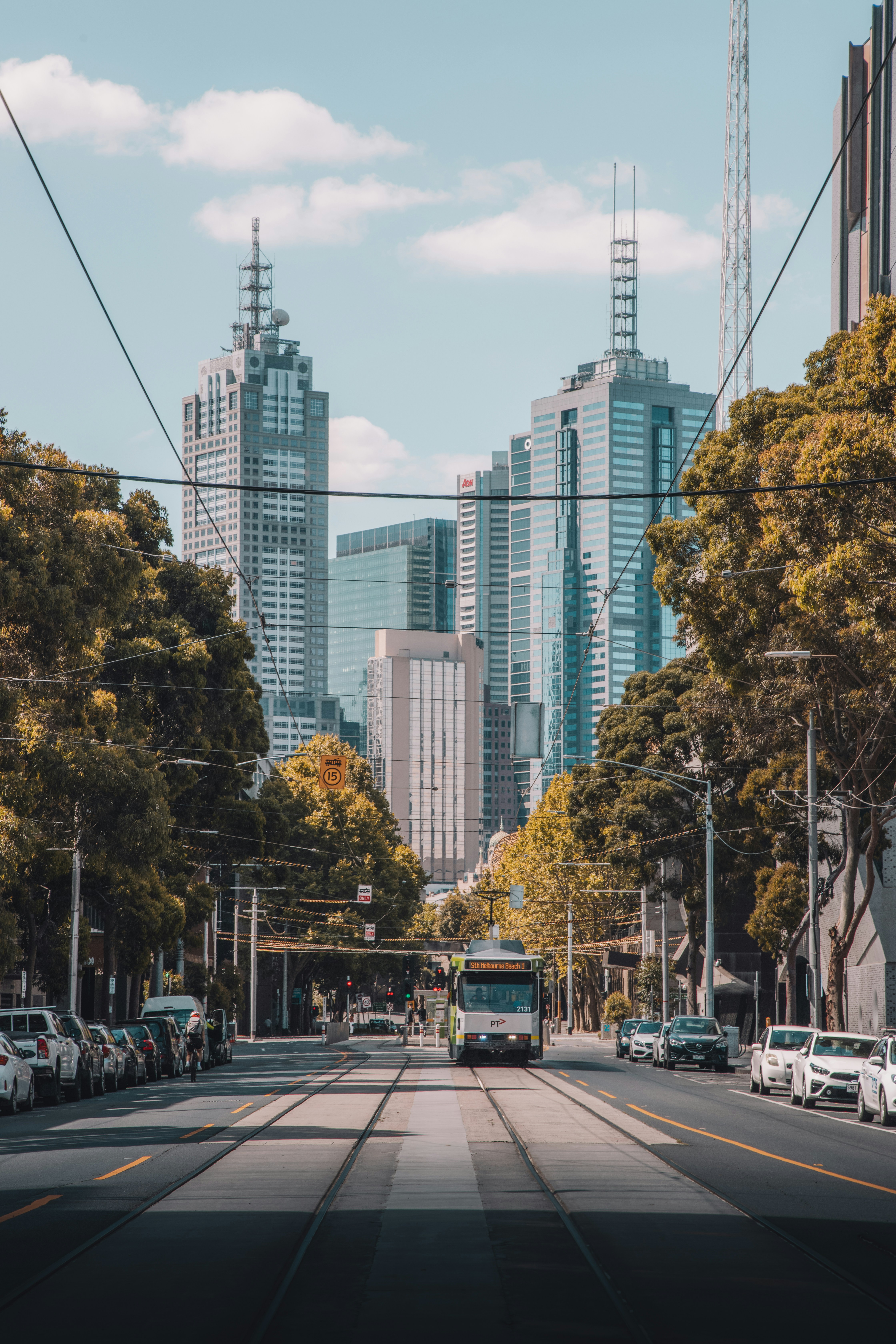 Tram running down a tree-lined street in Melbourne, Victoria with skyscrapers behind