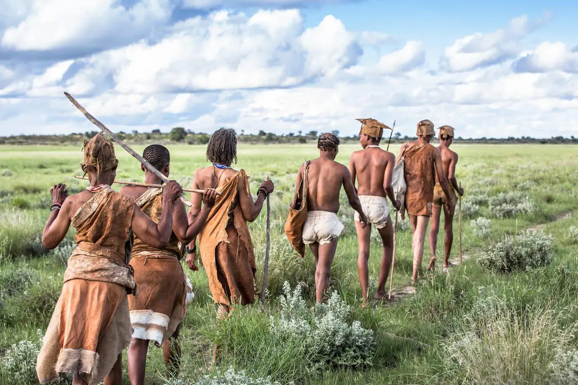 San walking group crosses open Central Kalahari grassland, seen from behind under a cloudy sky.