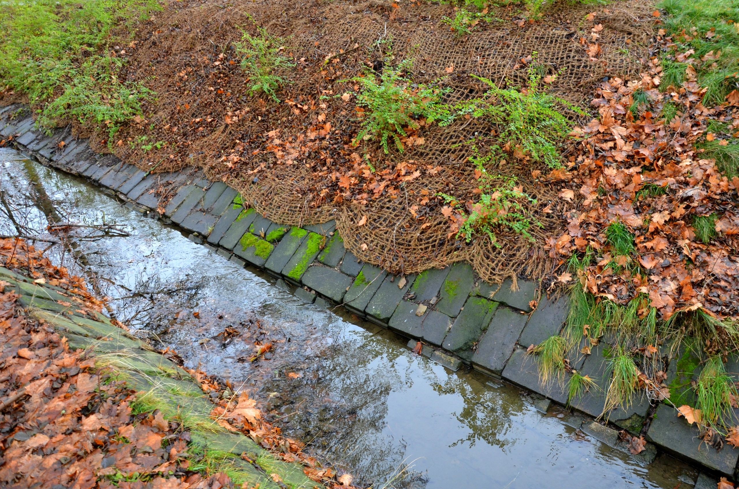 maint drainage