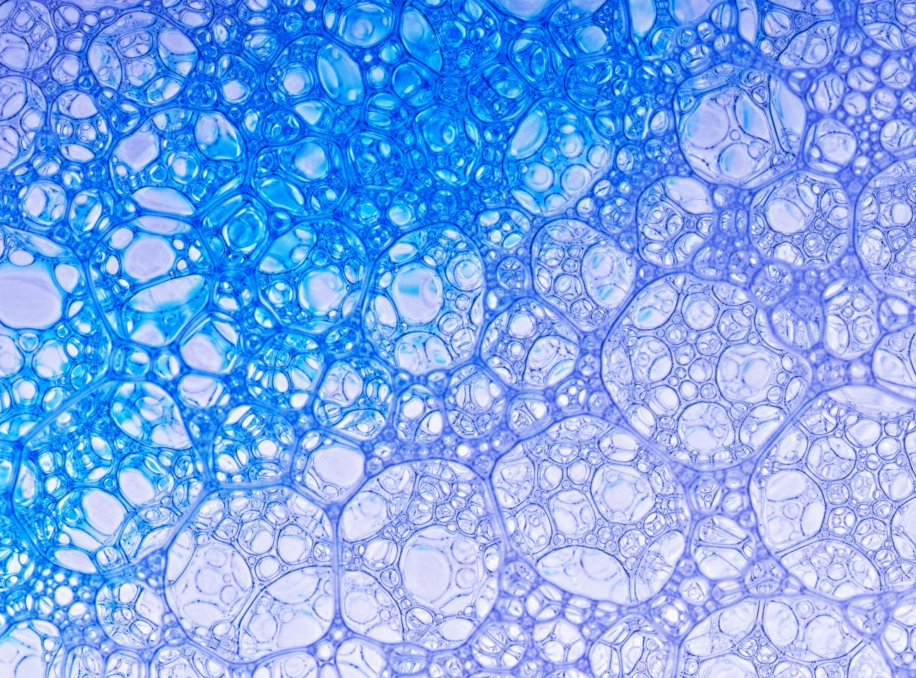 Embedded Finance B2B