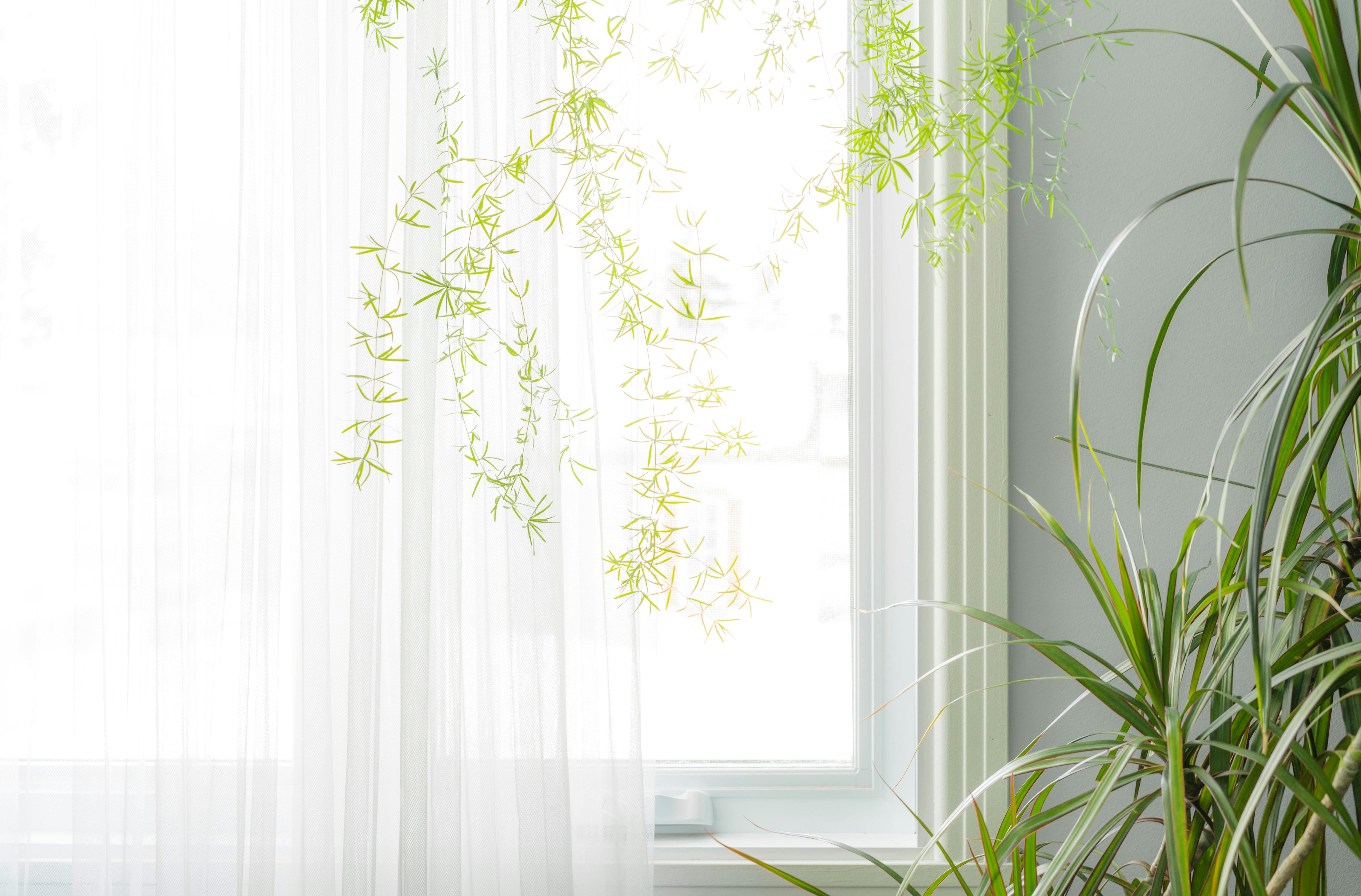 Light Filtering Sheer Curtains