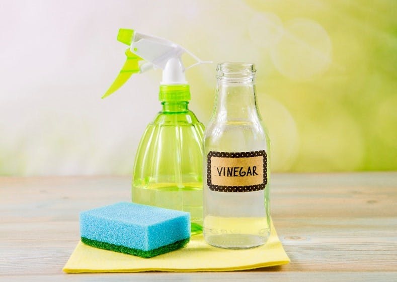 vinegar and water solution 