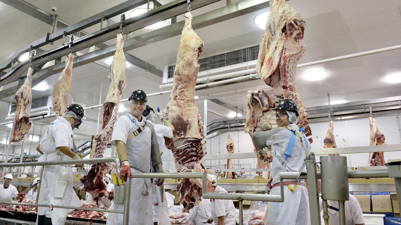 Kill chain in meat processing plant