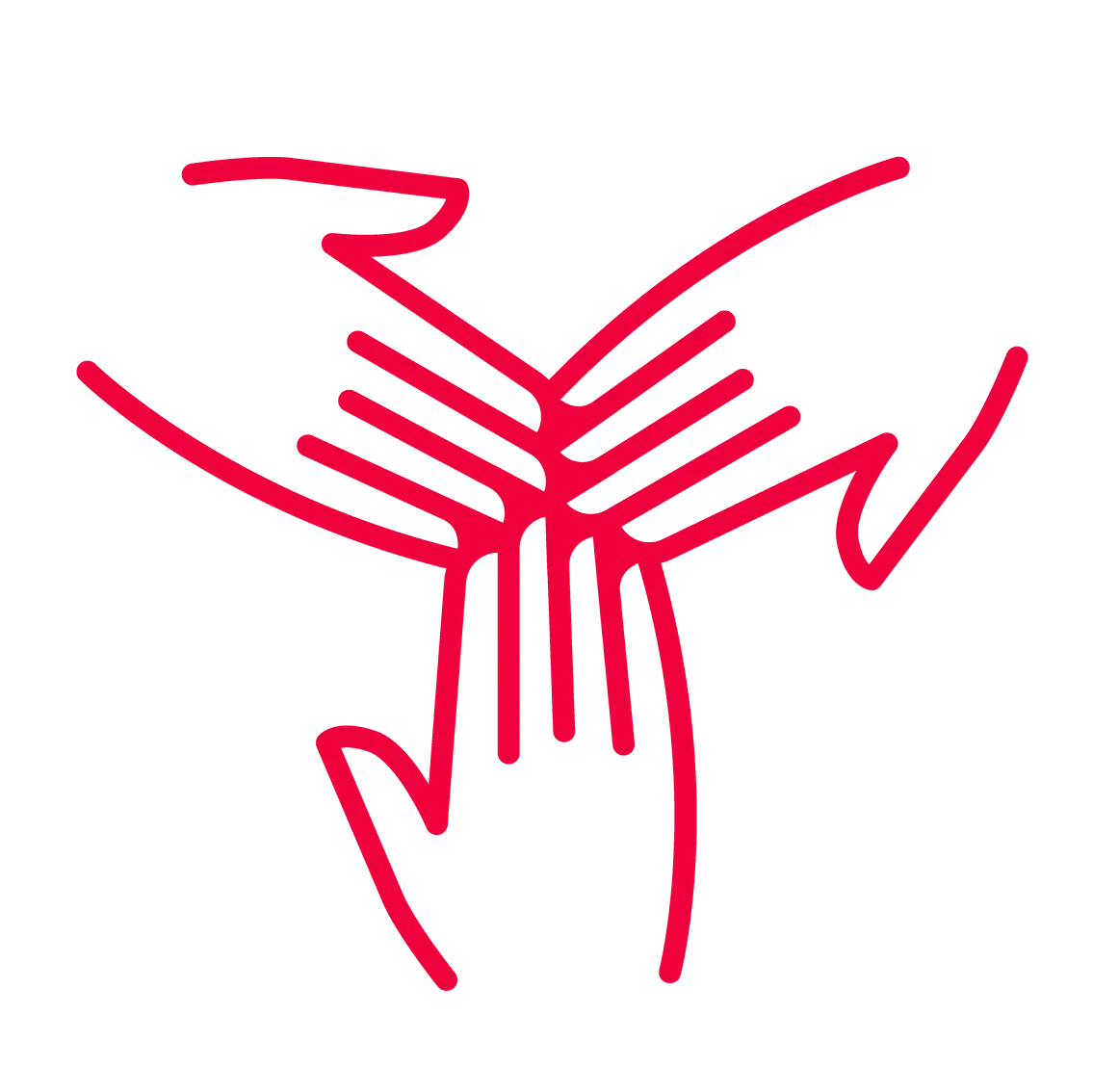 Freedom of association and the right to collective bargaining