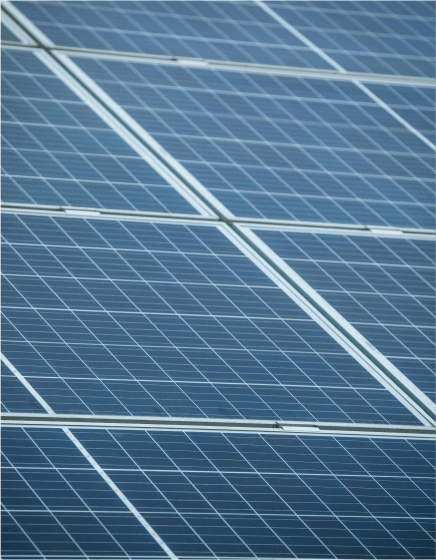 Photograph of solar panels