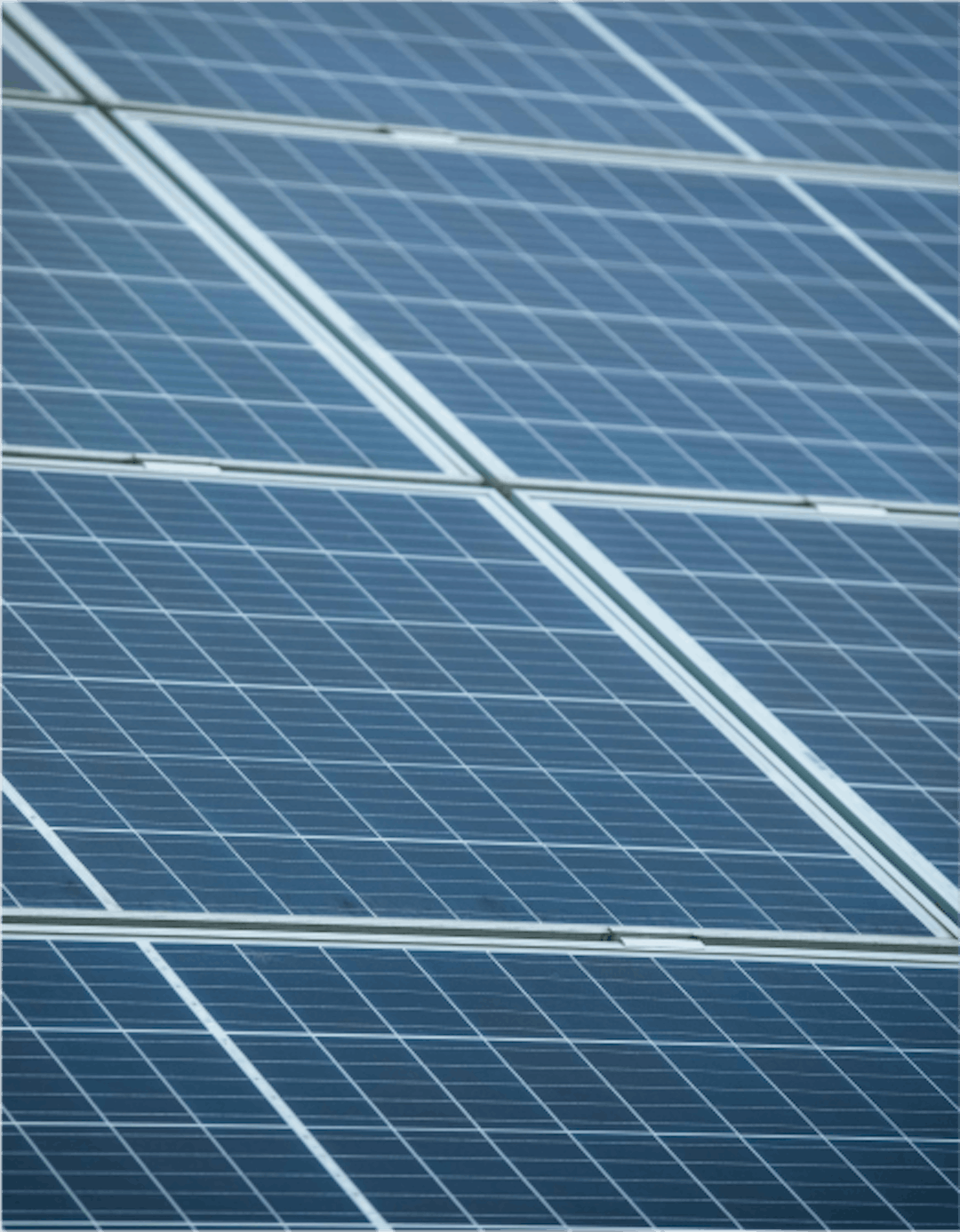 Photograph of solar panels