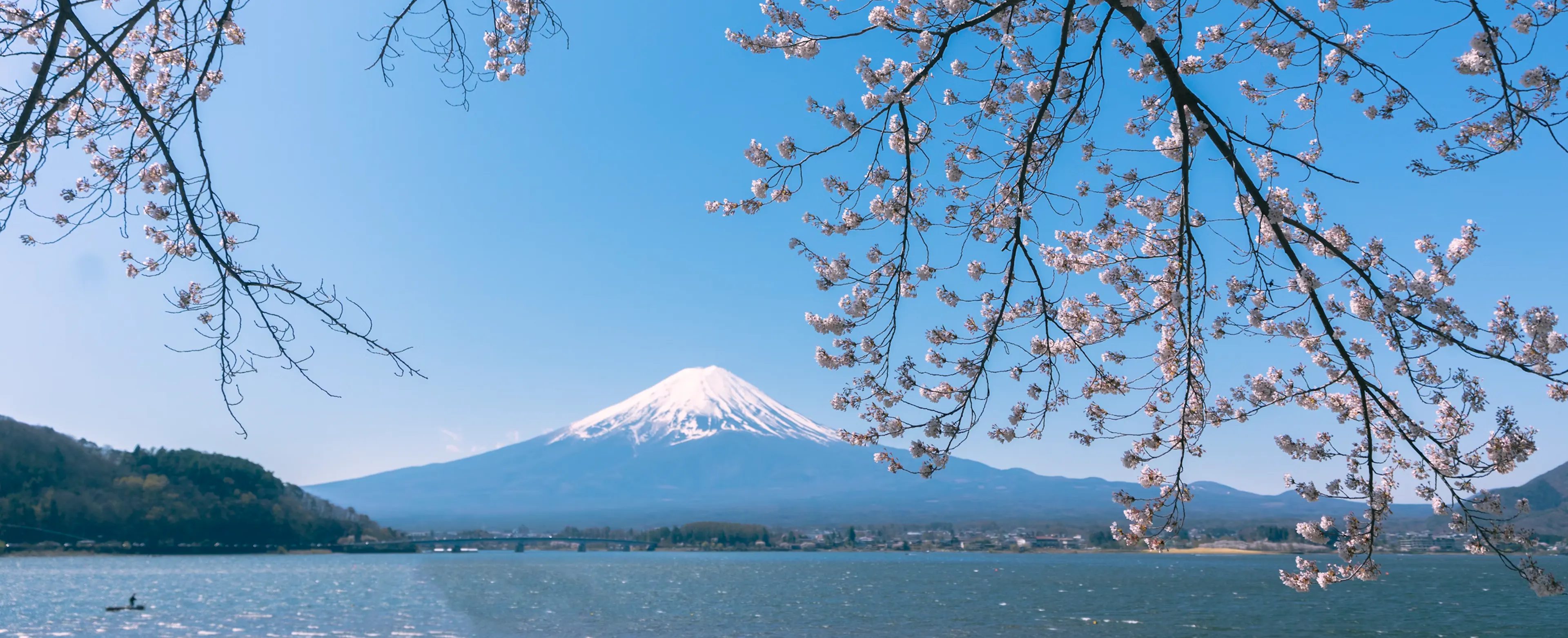 Mt. Fuji