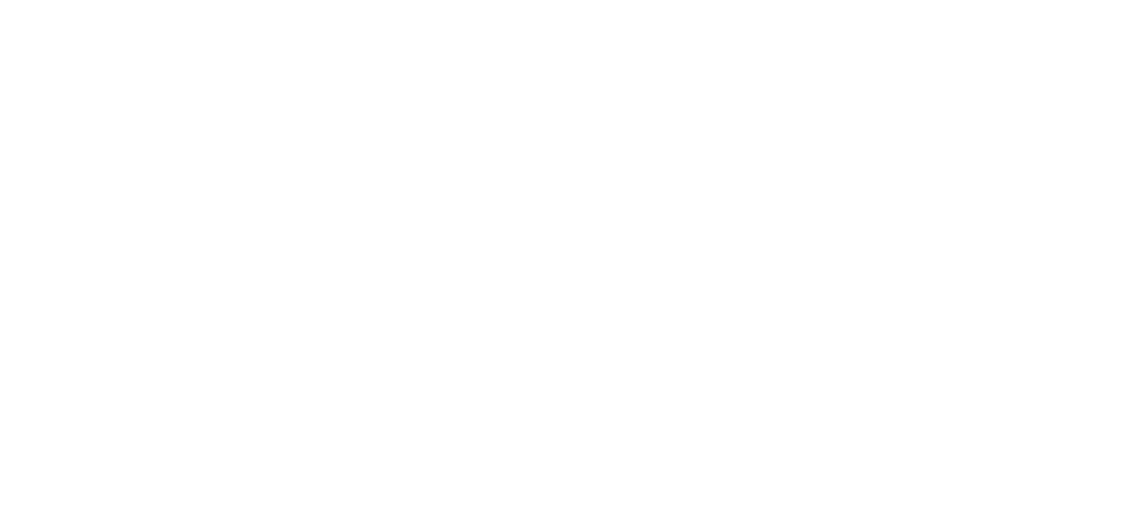 The Asset