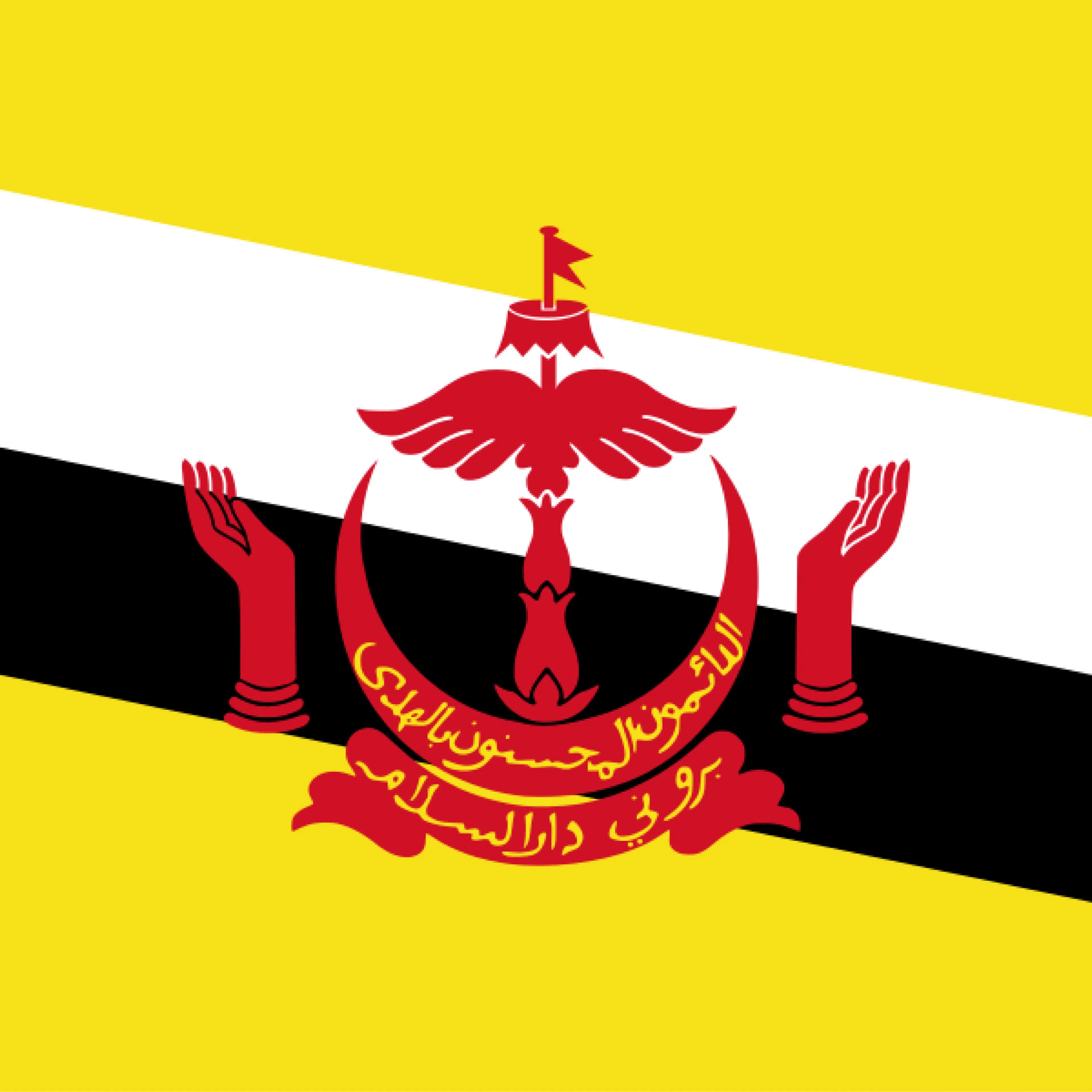 Government of Brunei Darussalam