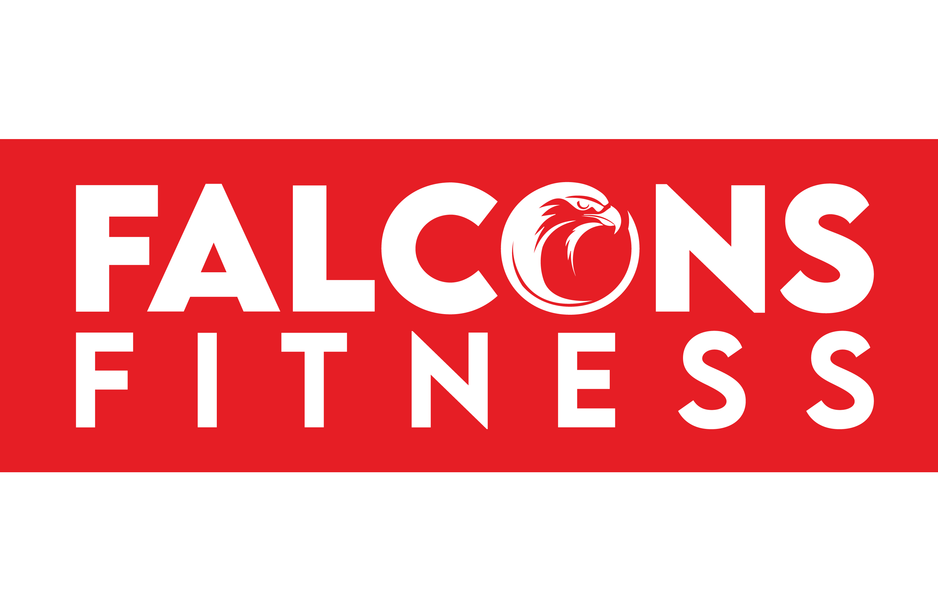 FALCONS FITNESS LOGO
